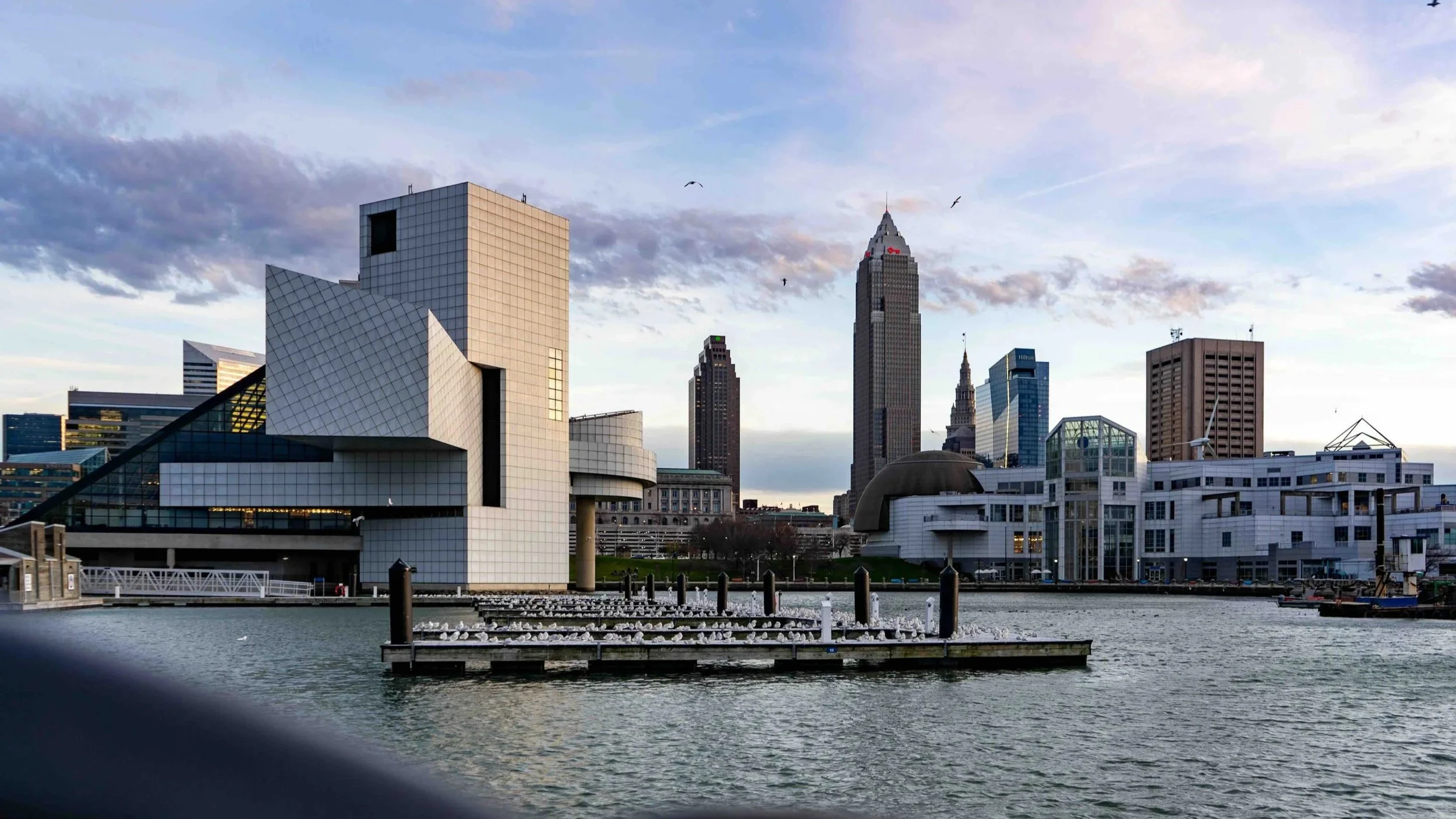 City skyline with modern buildings and water in the foreground, including Seagulls flying in the sky.
