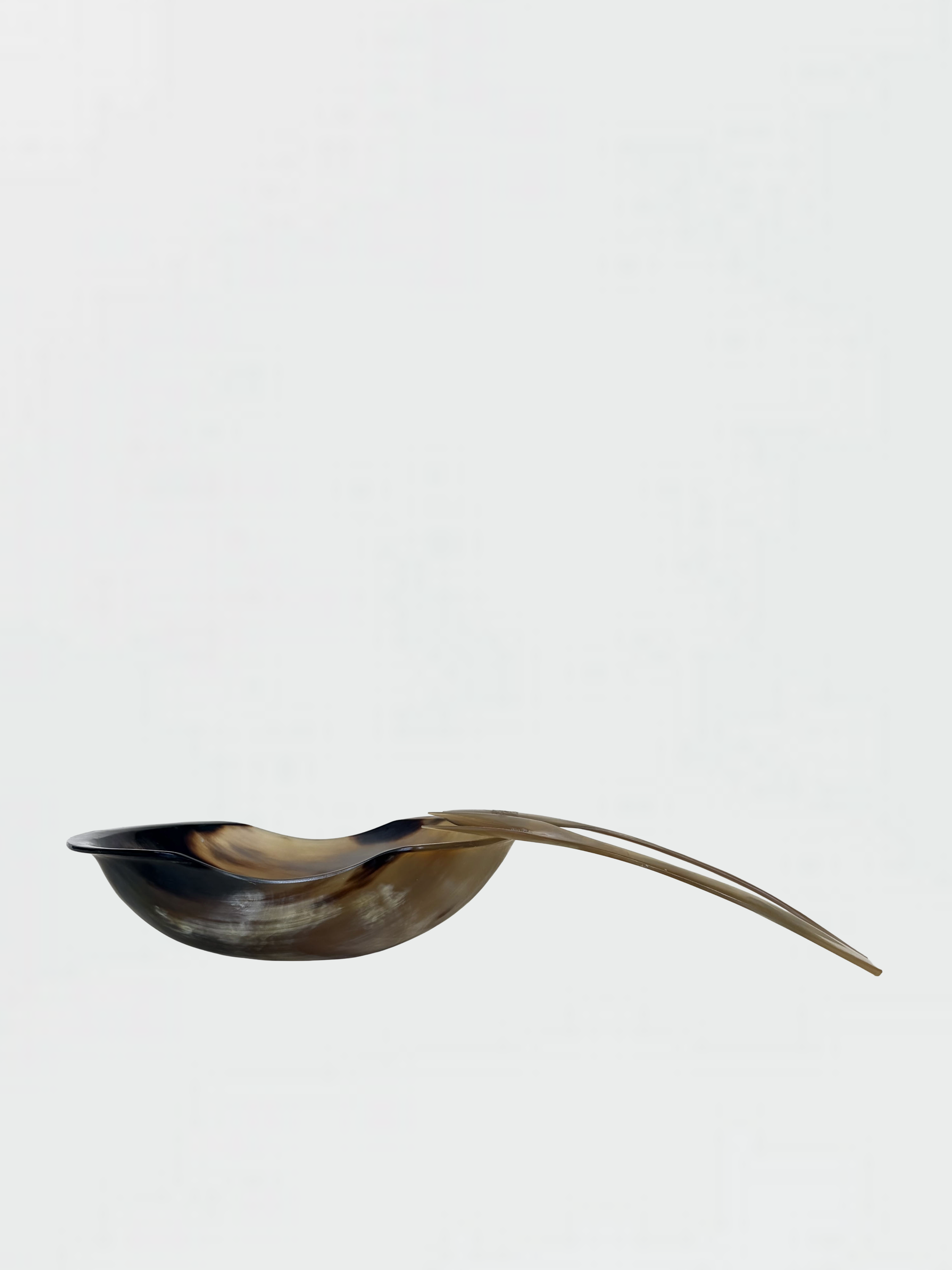 Ox Horn Set