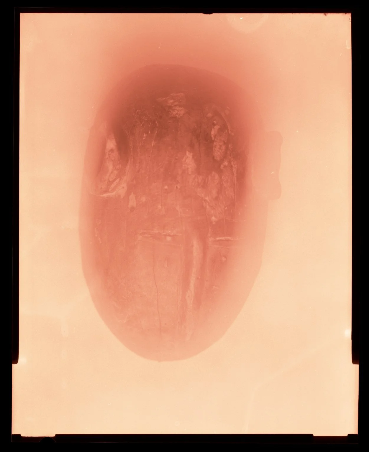 An African carved wooden animalistic mask, covered in blant orange color.