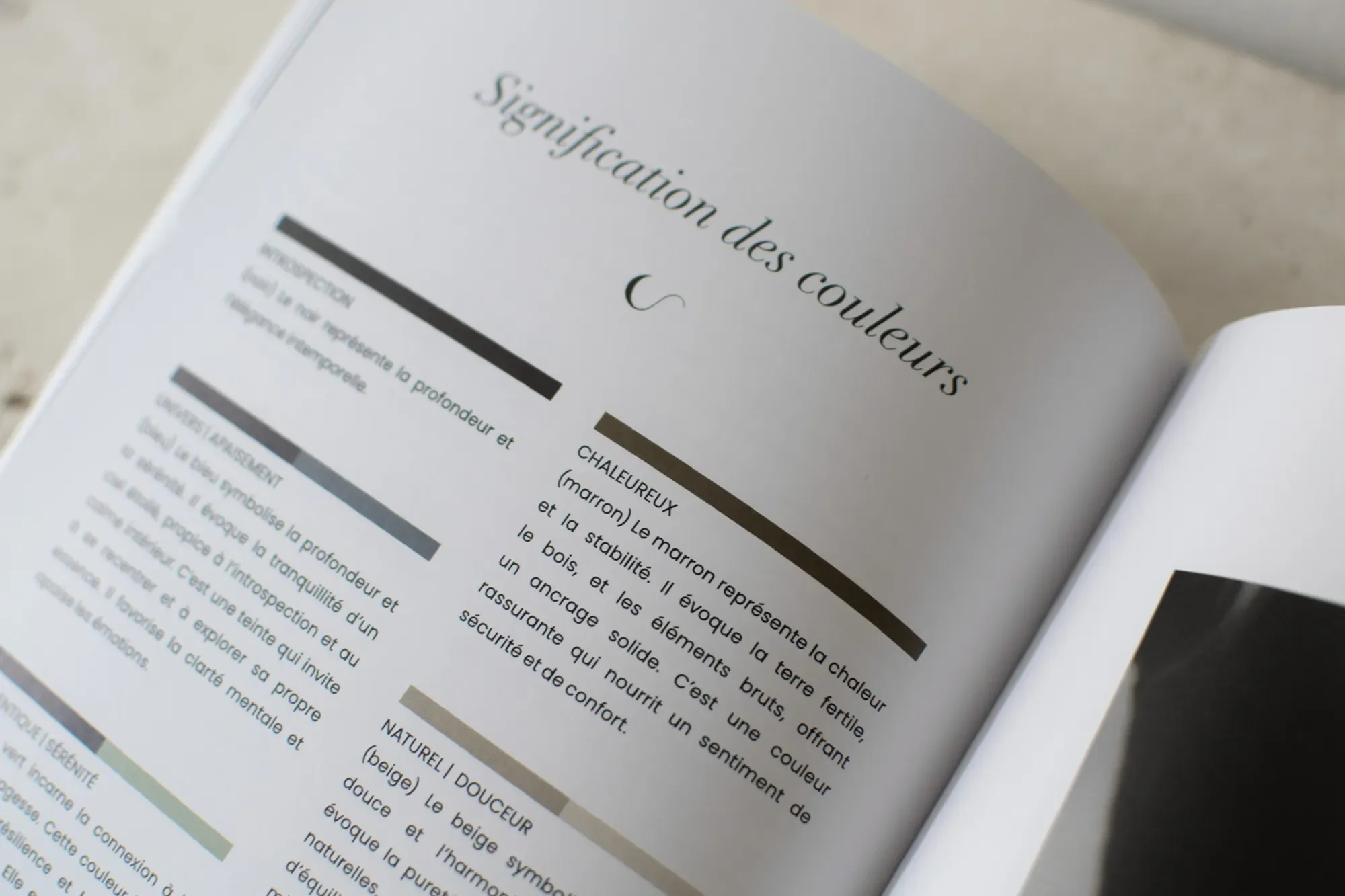 Page d'explication sur l'ignetification des couleurs avec des barres de couleurs et du texte en français.