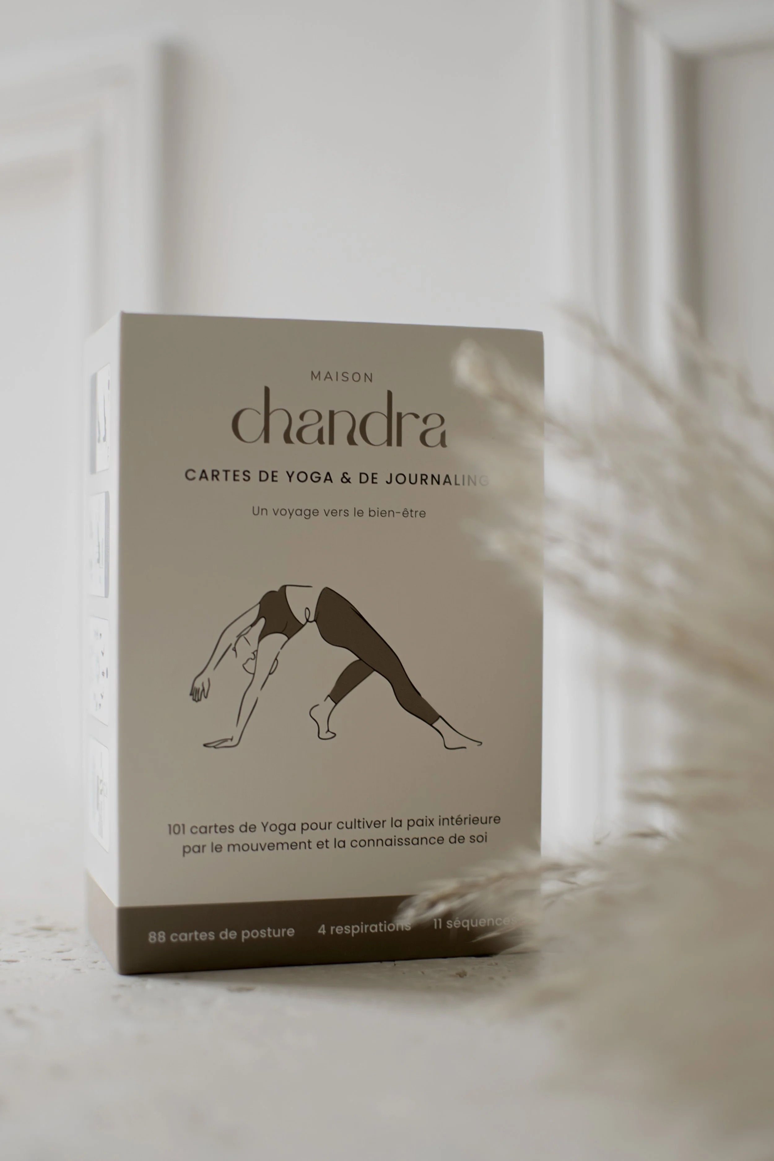 Le projet Maison Chandra