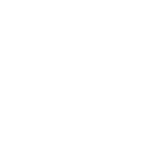Logo blanc avec le monogramme "BS" de Baije Studio et en dessous le texte "Diagnostic de marque"
