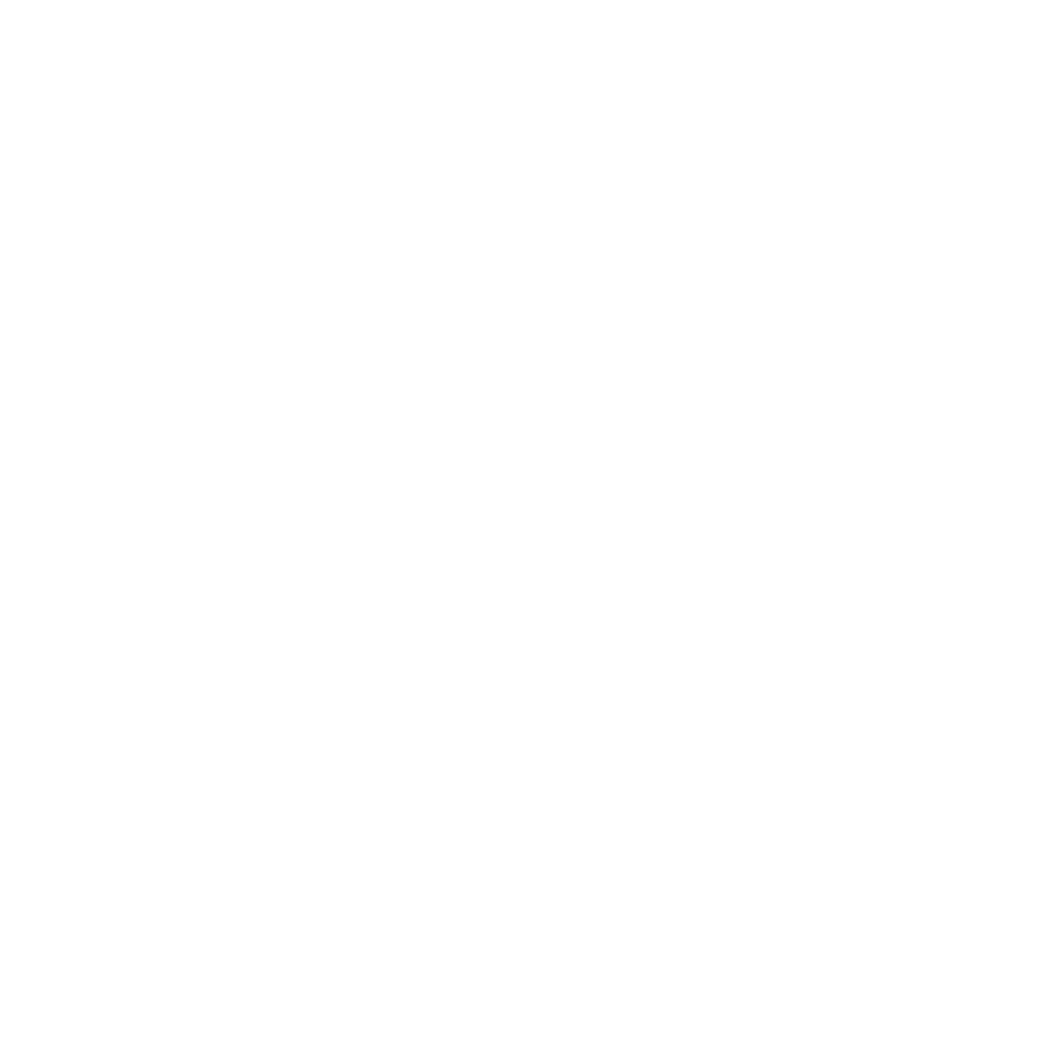 Logo avec un carré contenant un monogramme "BS" stylisé, et un encadrement blanc, avec en dessous le texte 'Diagnostic de marque' .