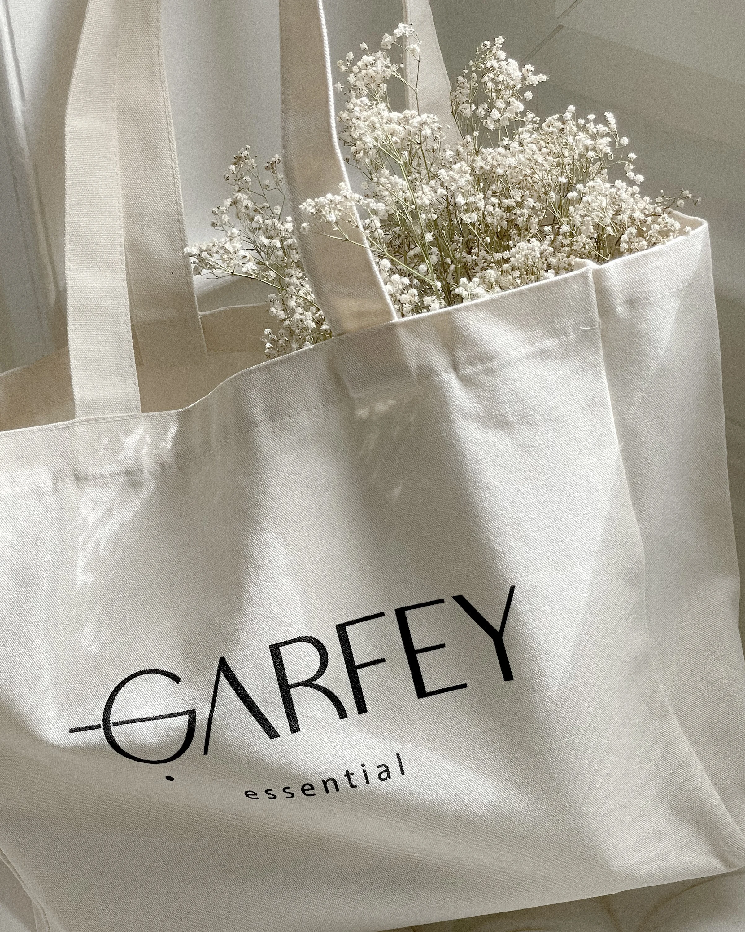 Le projet Garfey