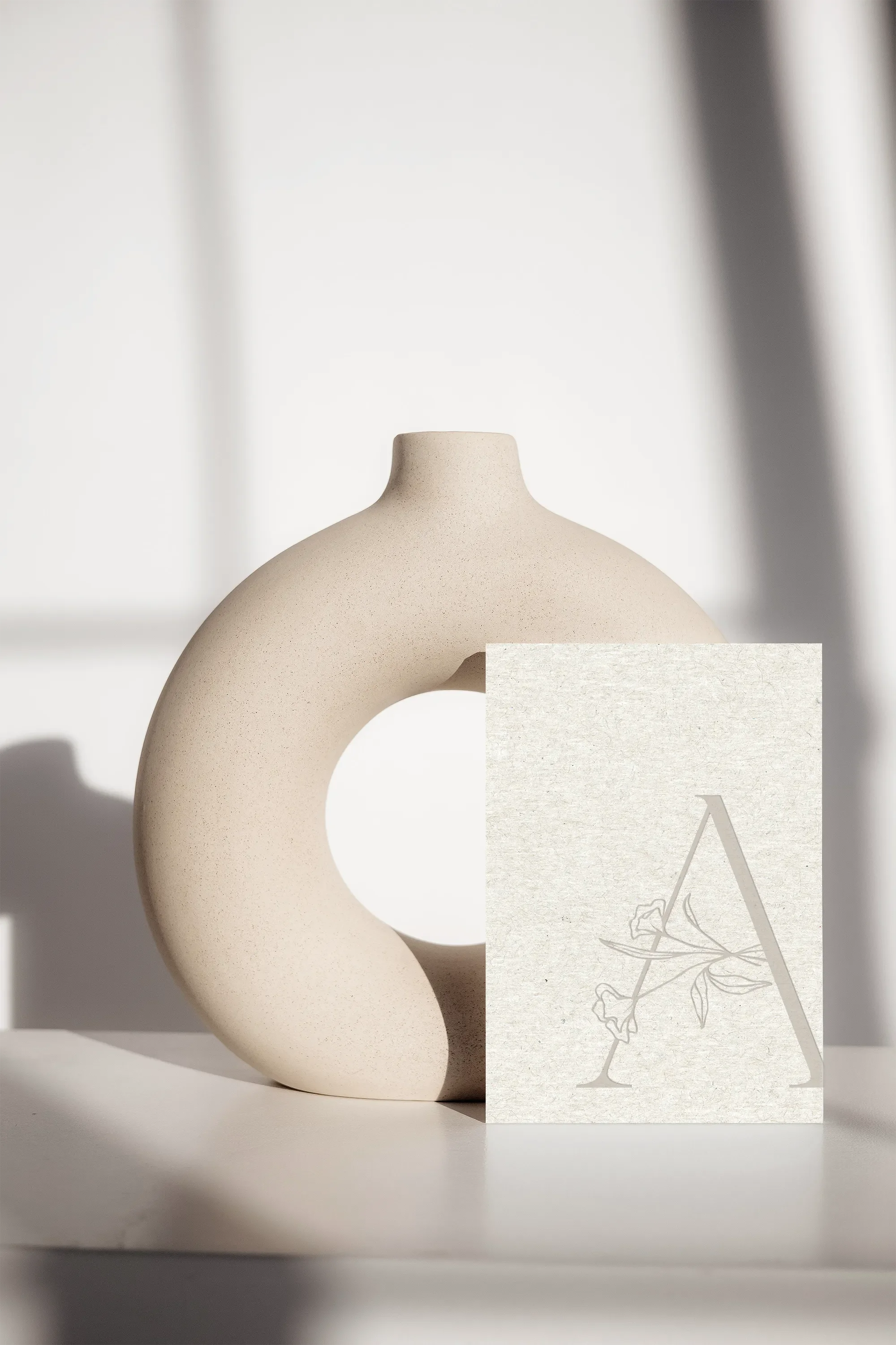 Le projet Anaïs Pliya