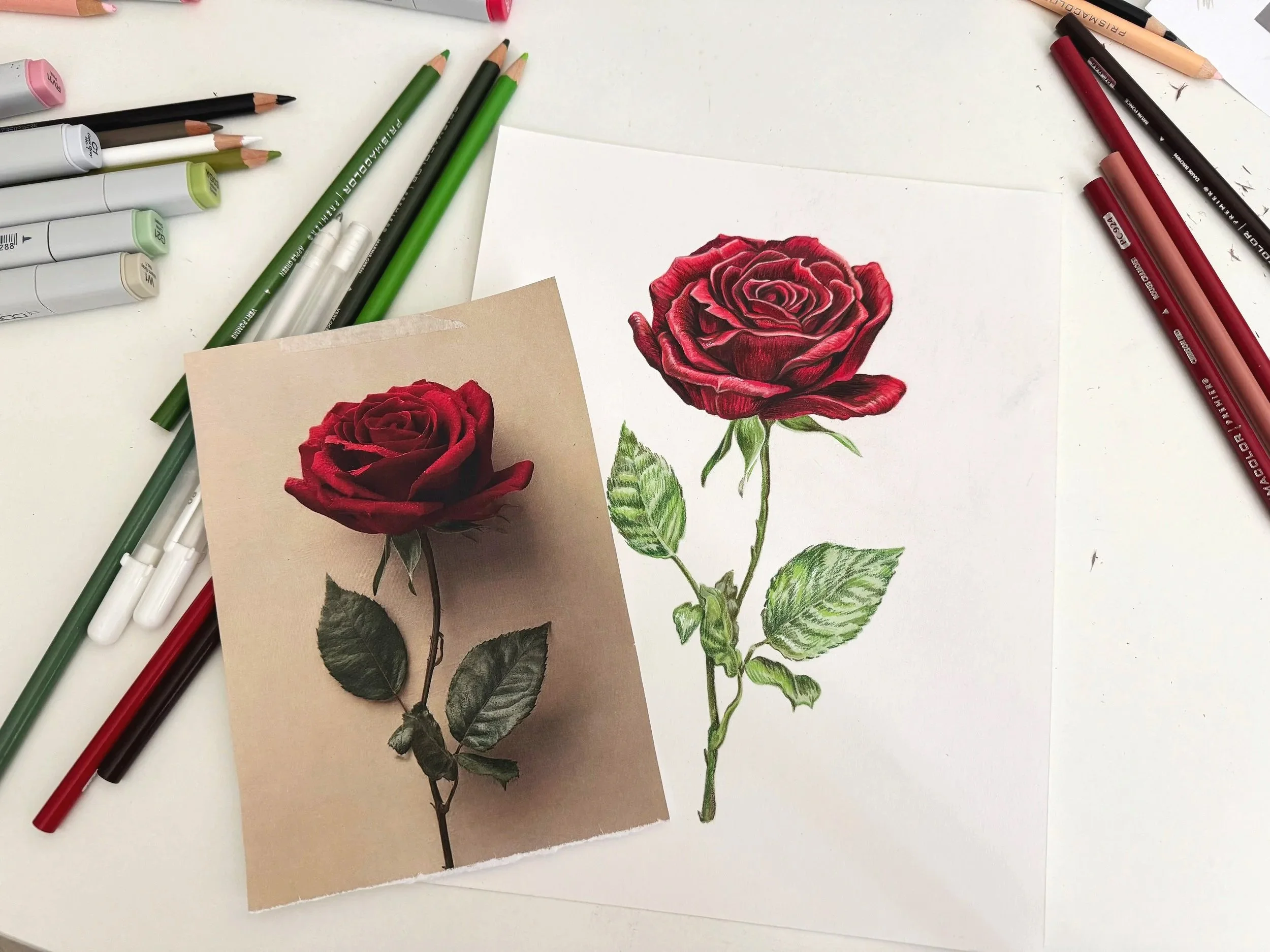 Realistic commission artwork of a red rose positioned next to it's original reference photo. The artwork lays on an artist desk surrounded by colored pencils and pens.