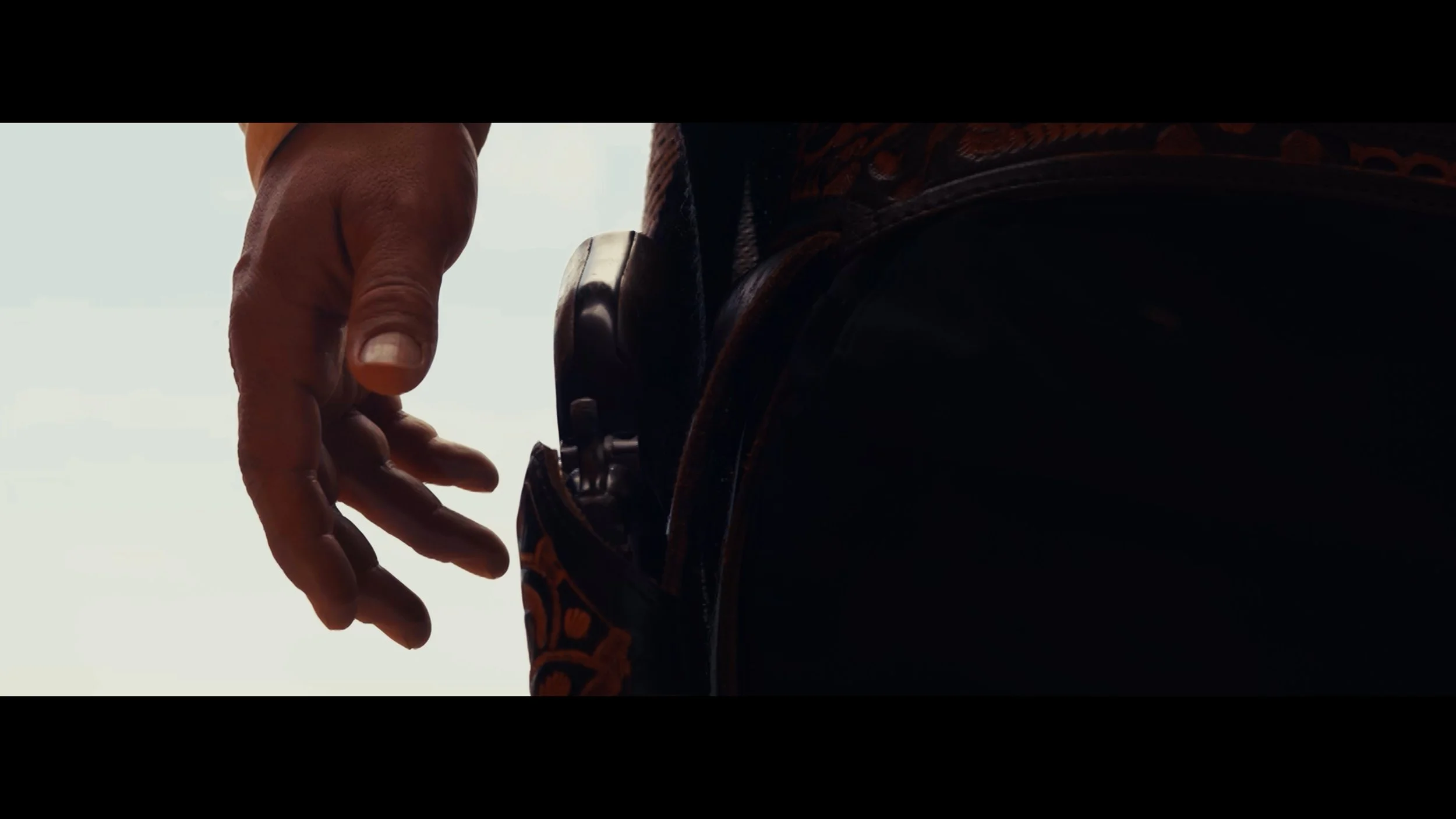 CR Stranger holster.jpg