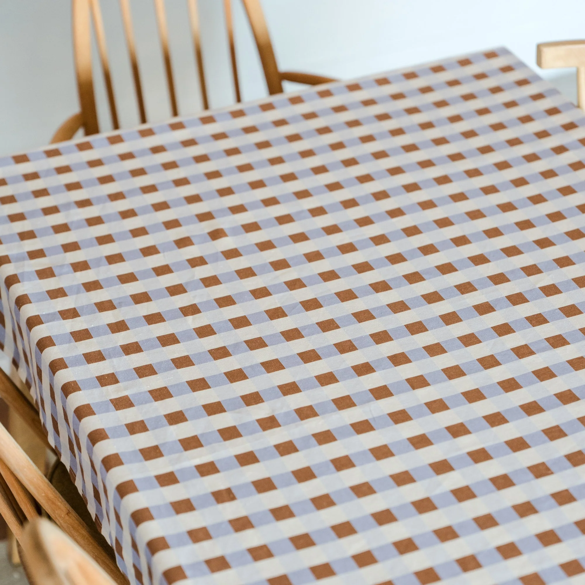 GinghamTablecloth00216.jpg