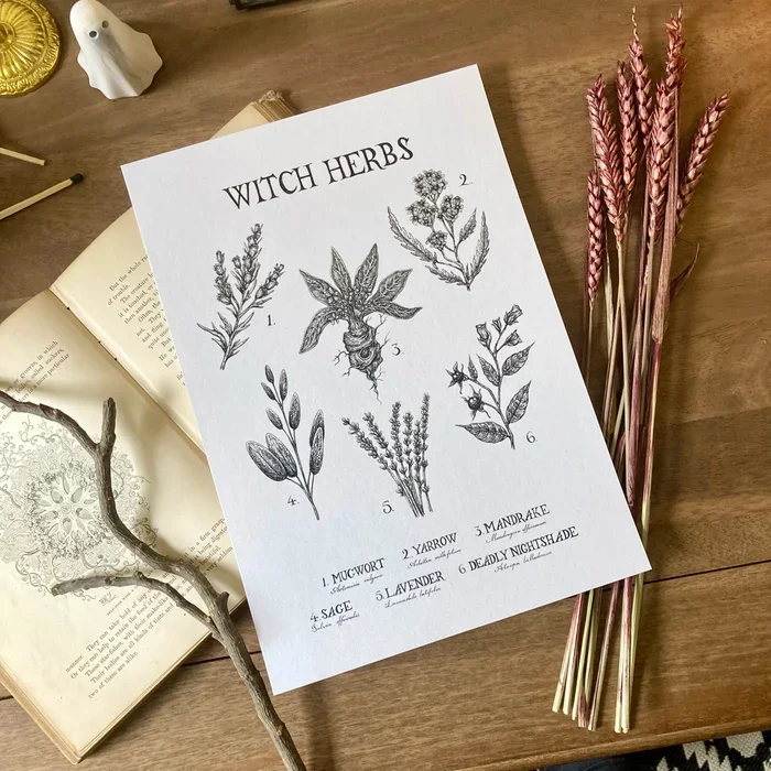 Witch Herbs A4 Print