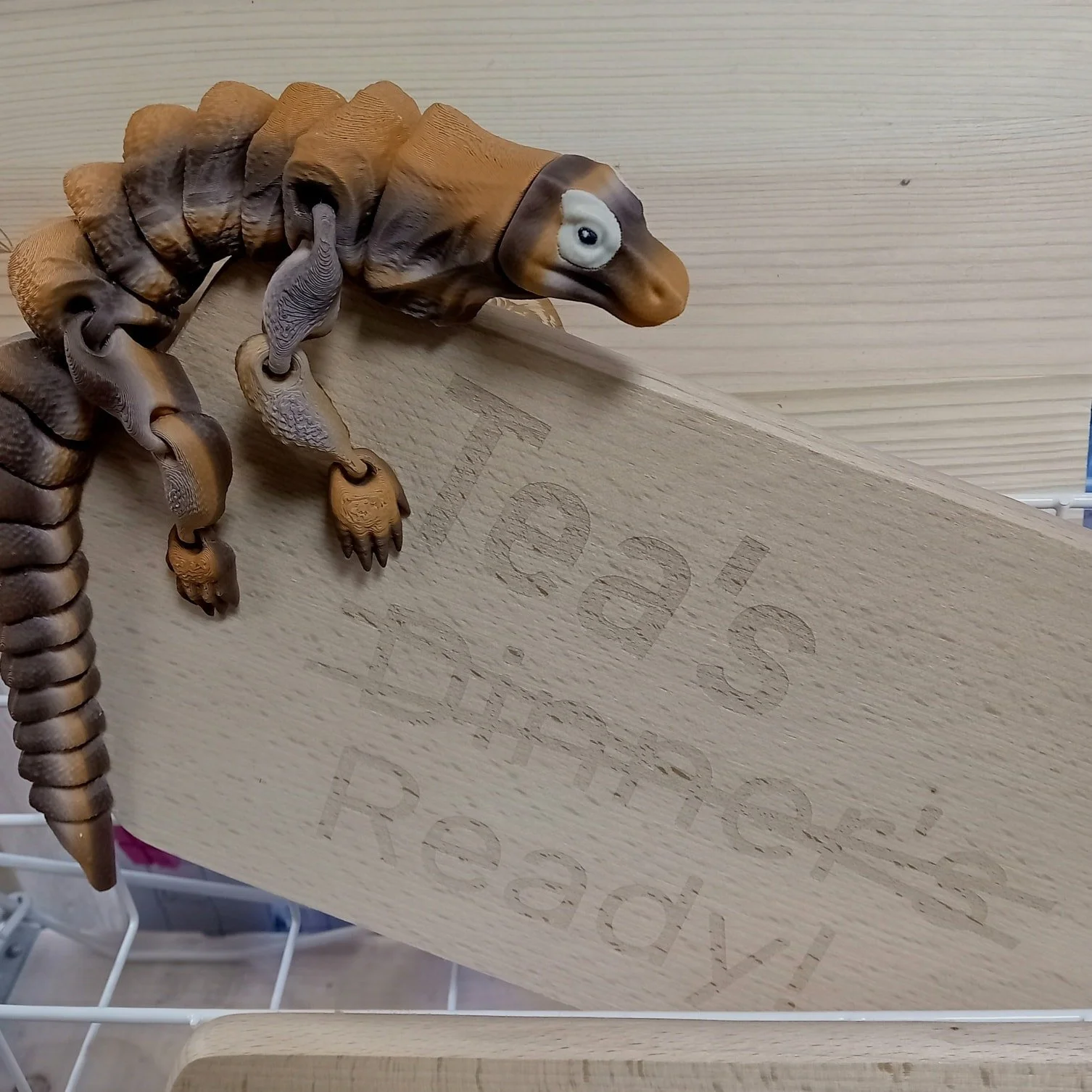 Off for our tea! 🦎 Thanks to all the customers who braved the freezing temperatures to visit our shop. Most popular item to buy this weekend was magpies! We close on Mondays and Tuesdays but open again Wednesday and look forward to seeing you 🐦&zwj