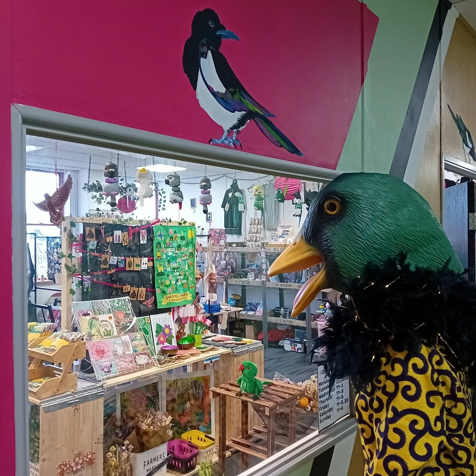 Bill can't believe his eyes 🦆 So much to chose from 😍

Visit our lovely shop just off The Moor for a wonderful range of gifts, many by Sheffield based makers

#sheffieldindieshops #sheffieldmakers #windowshopping #duckinafeatherboa