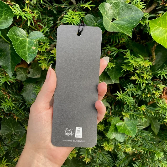 plants bookmark.webp