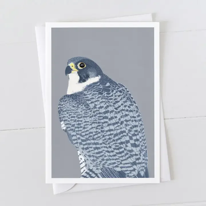 peregrine falcon card.webp
