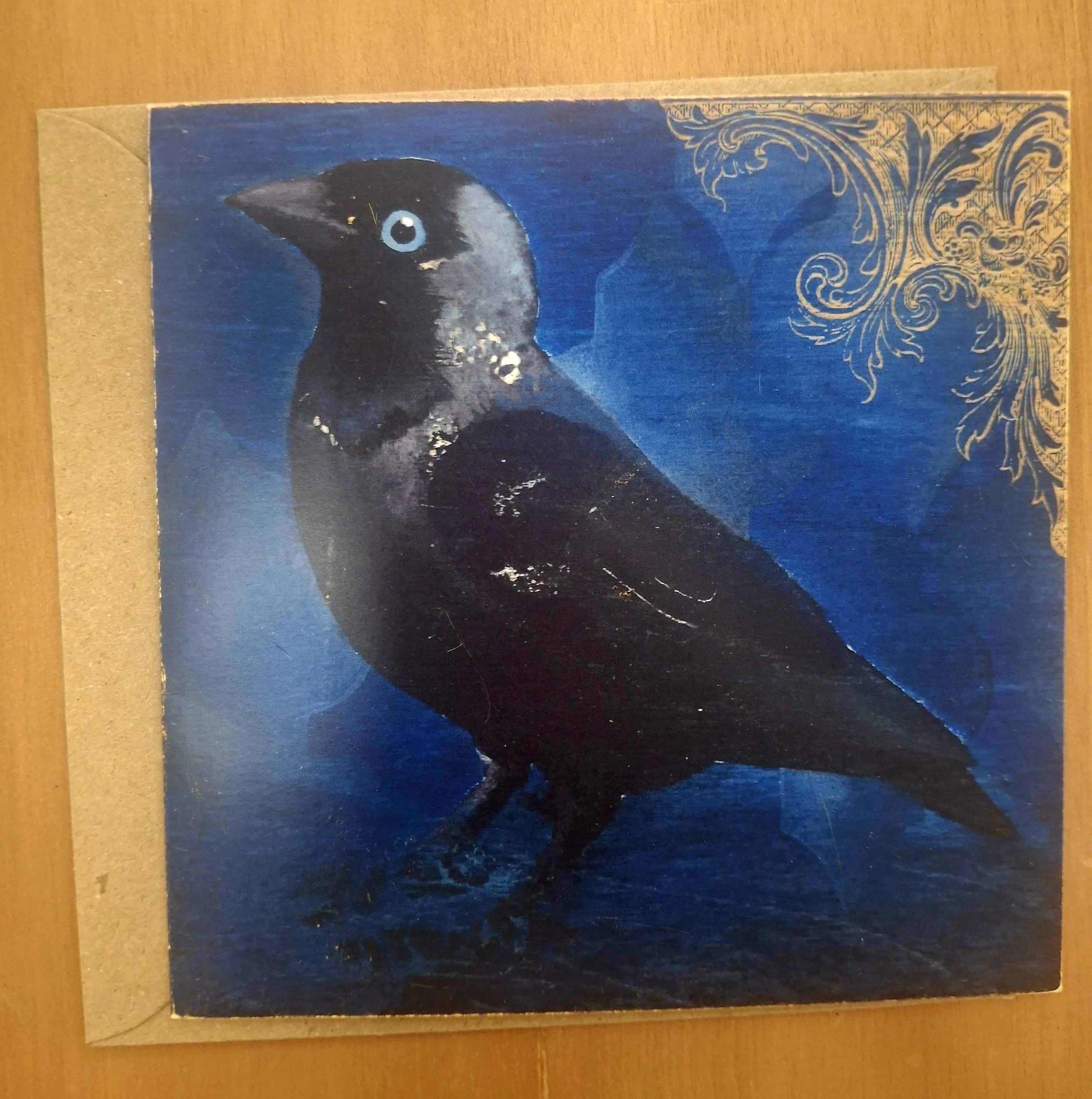 Jackdaw Card