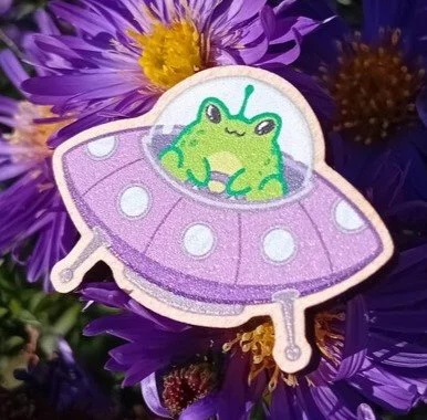 Frog UFO Pin Badge