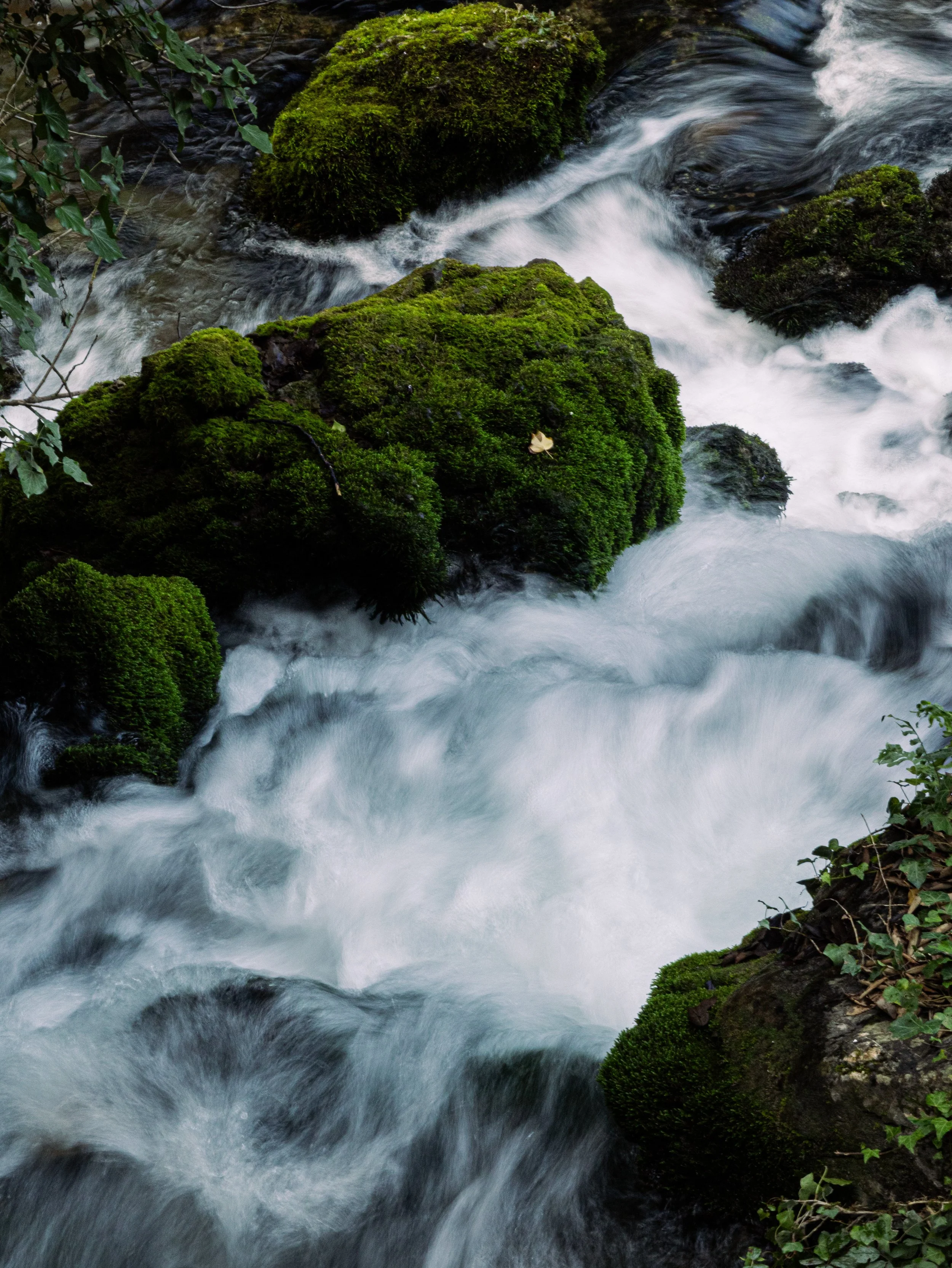 Water11.jpg