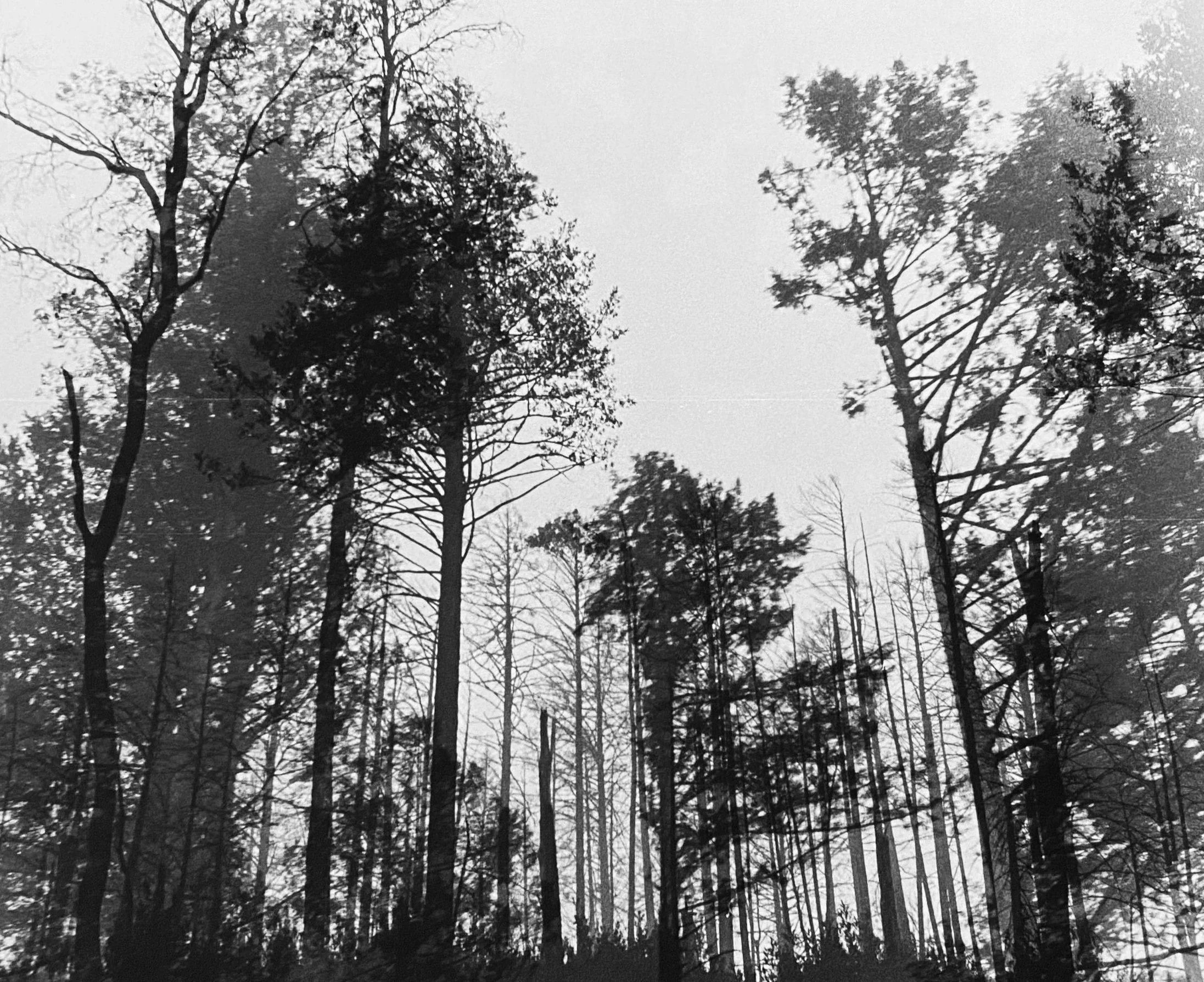 Film Photography