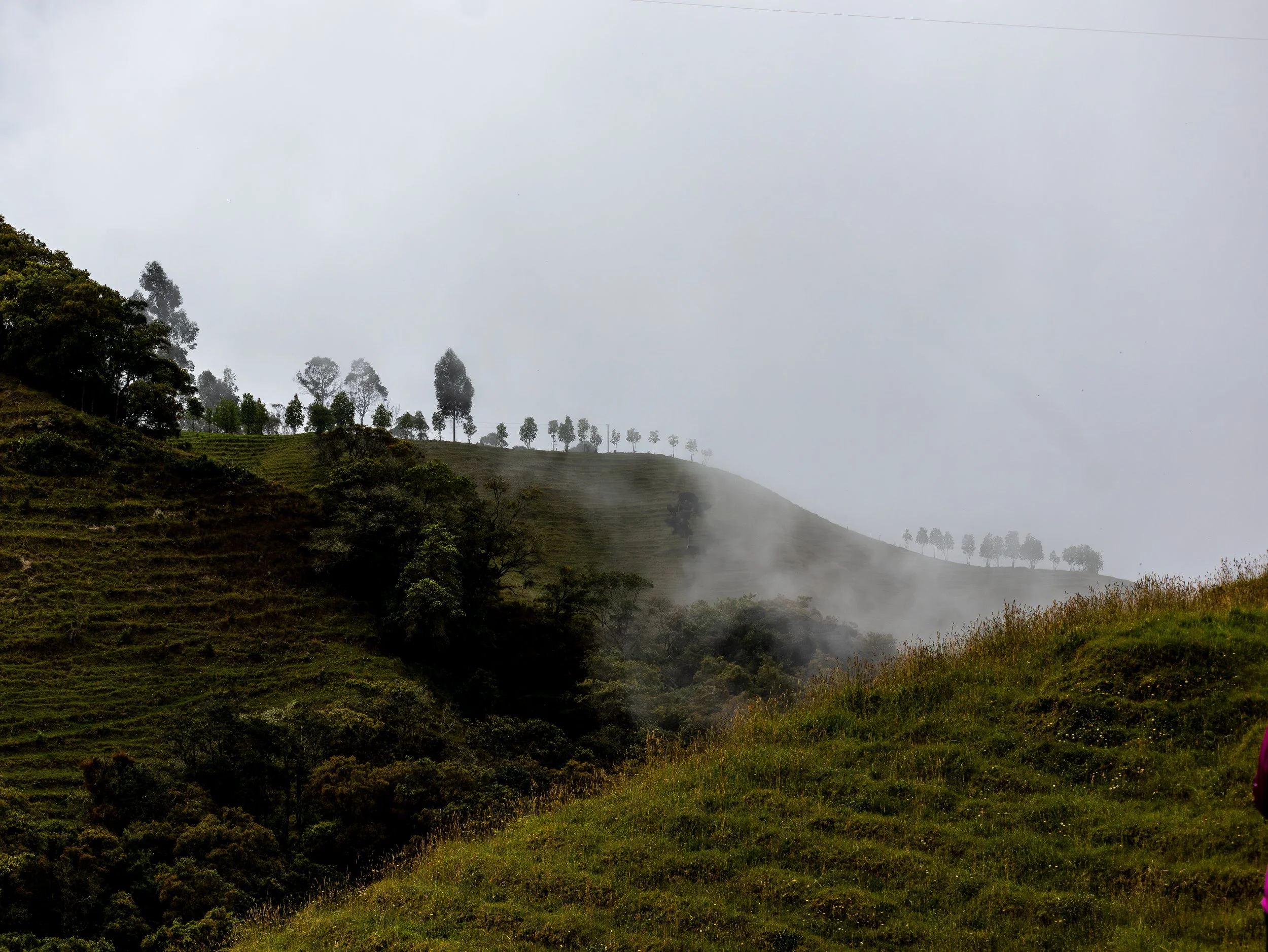 IMG_0492-1.jpg