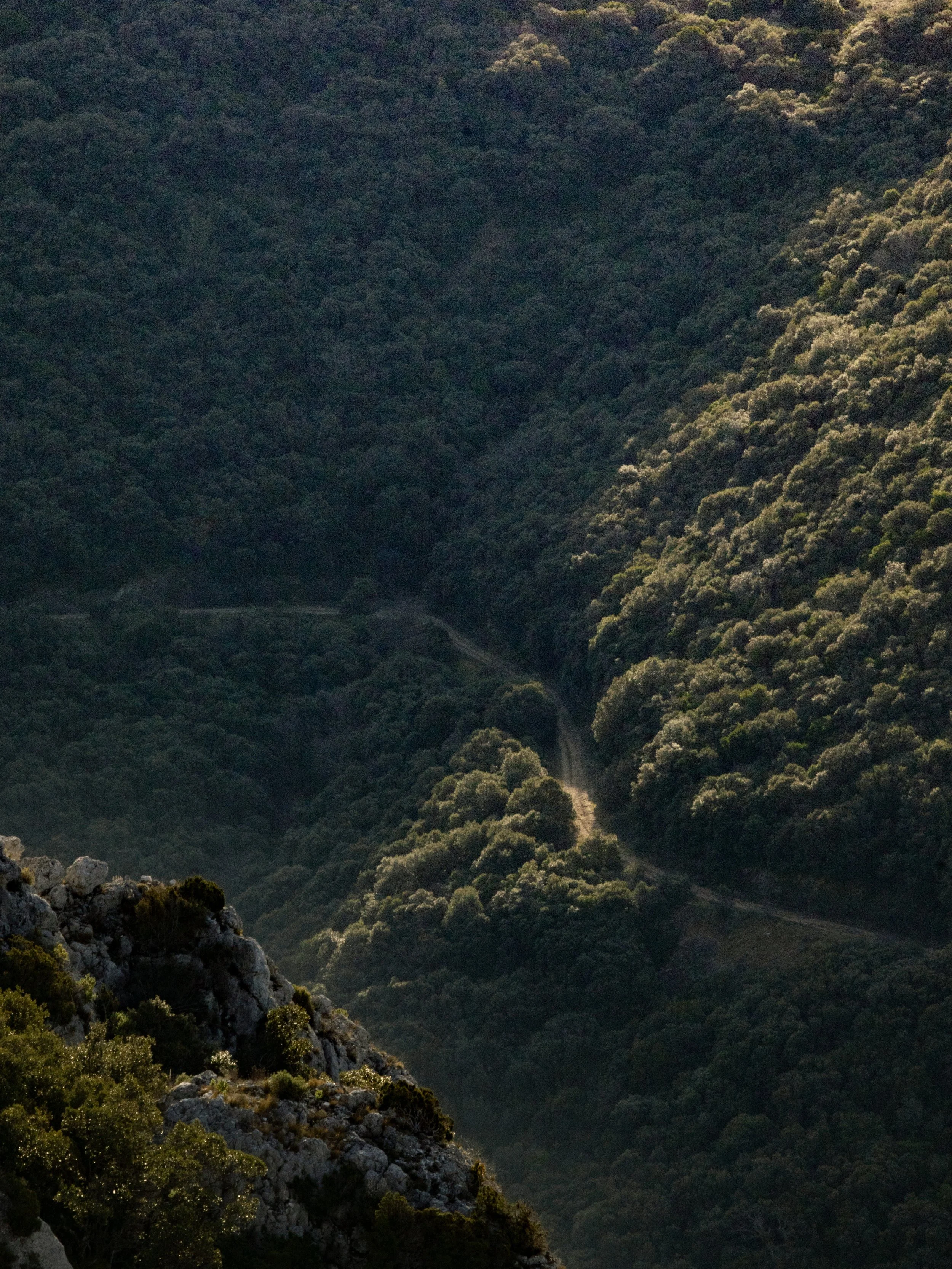 view9.jpg