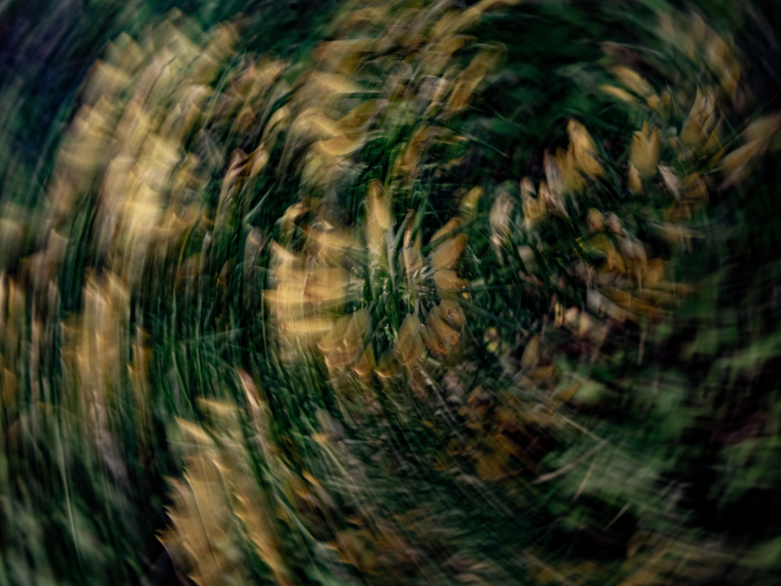 blur8.jpg
