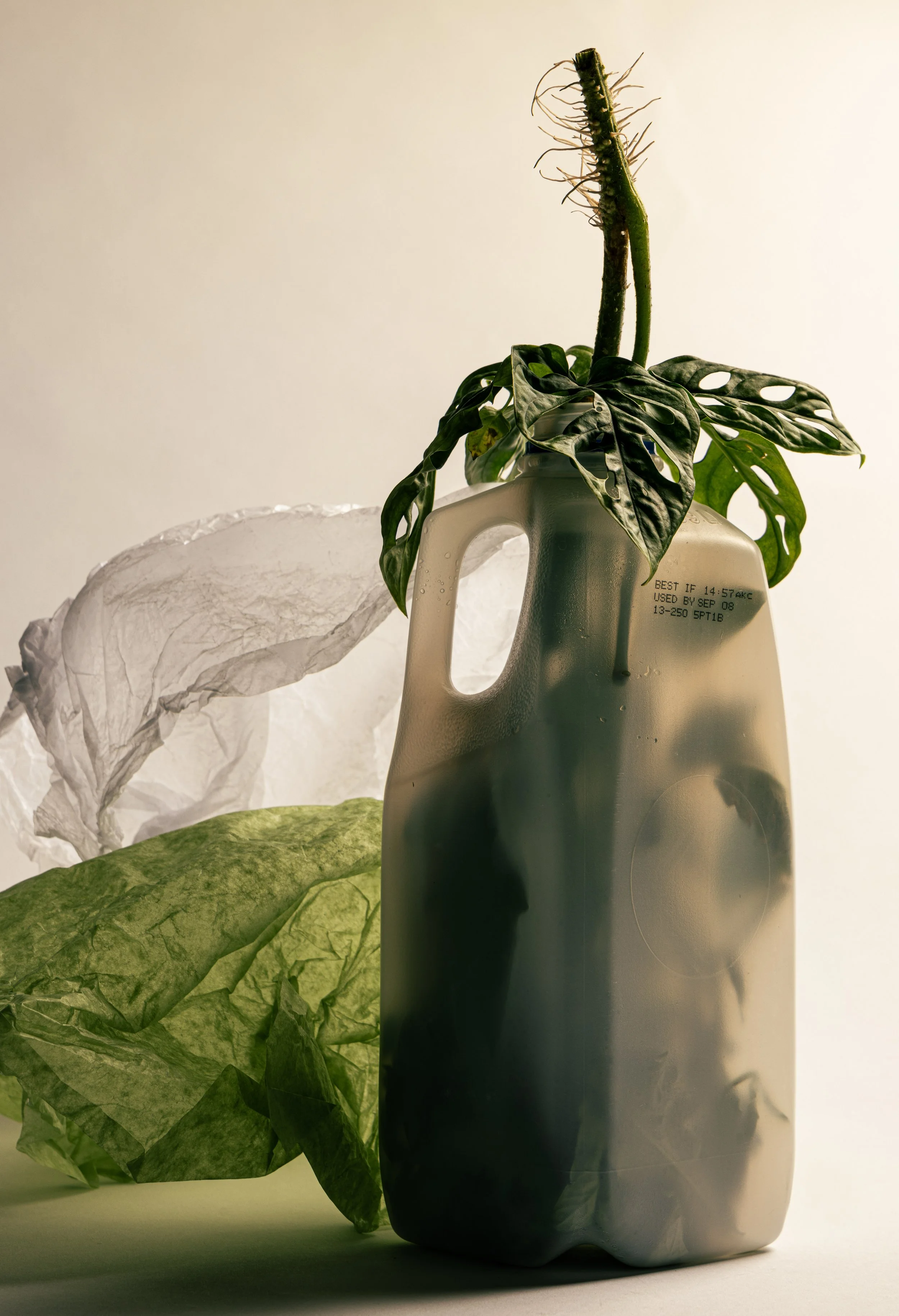 ExpiredMilk (1 of 1).jpg