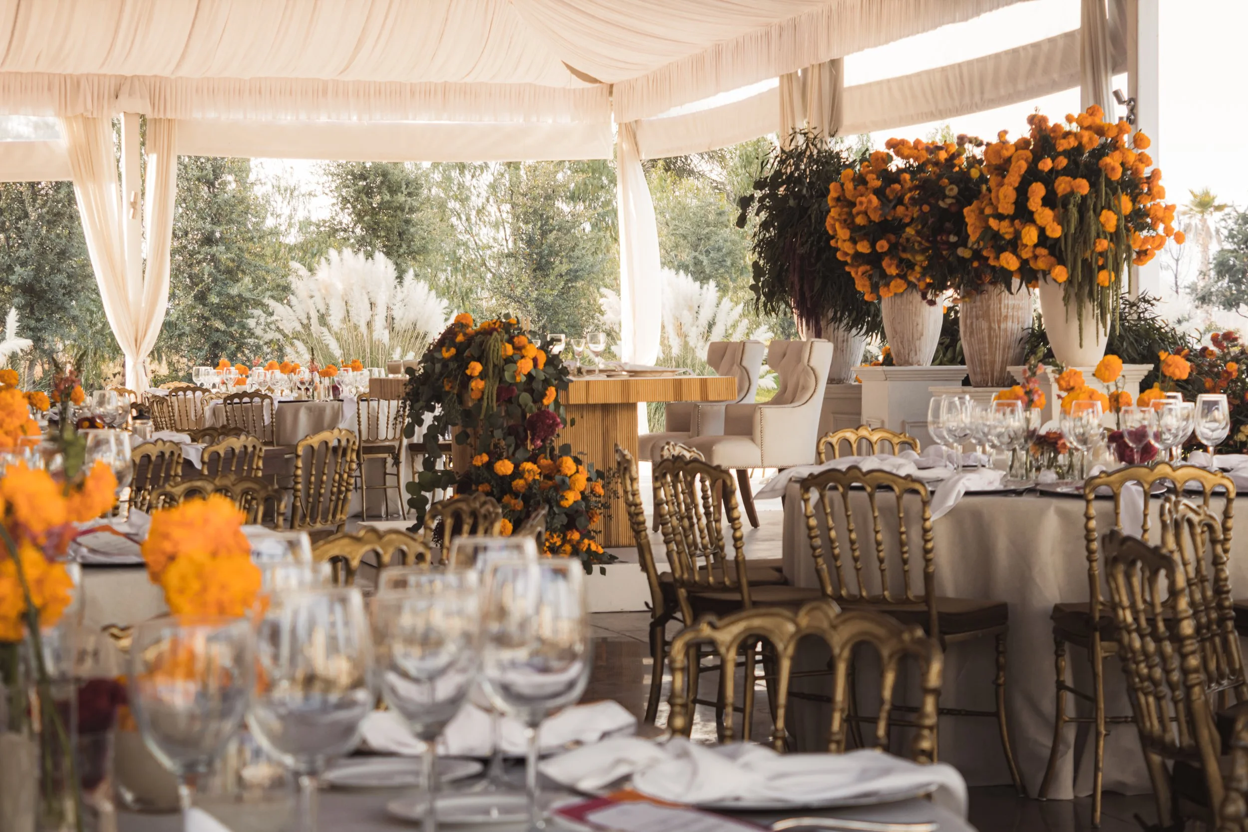 PuntaParaíso_021124_Boda (Extras)-2.jpg