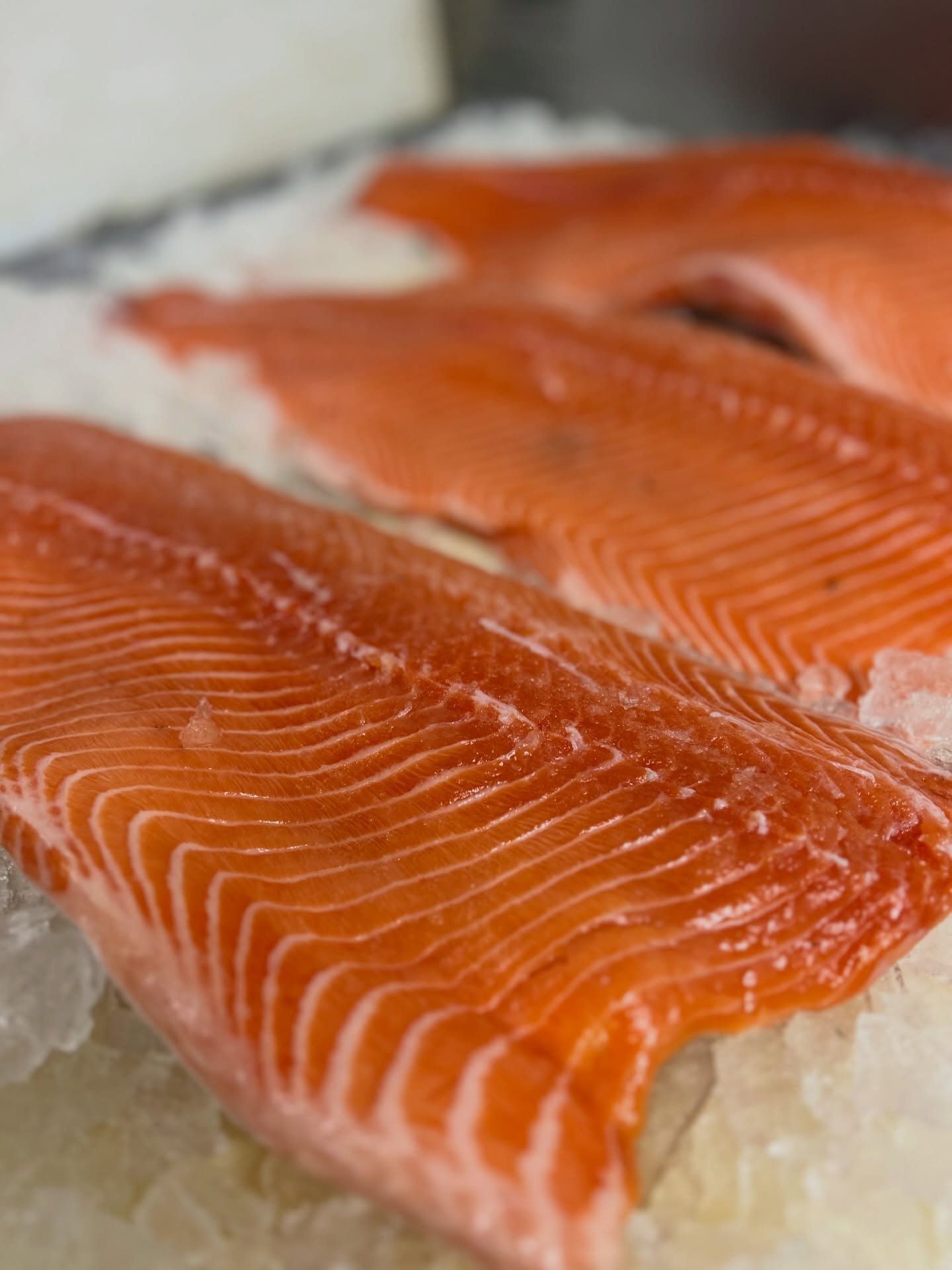 Fresh salmon and cod just hit the case! 🐟

Perfectly timed for Lent and ready to honor traditions around your Friday table.