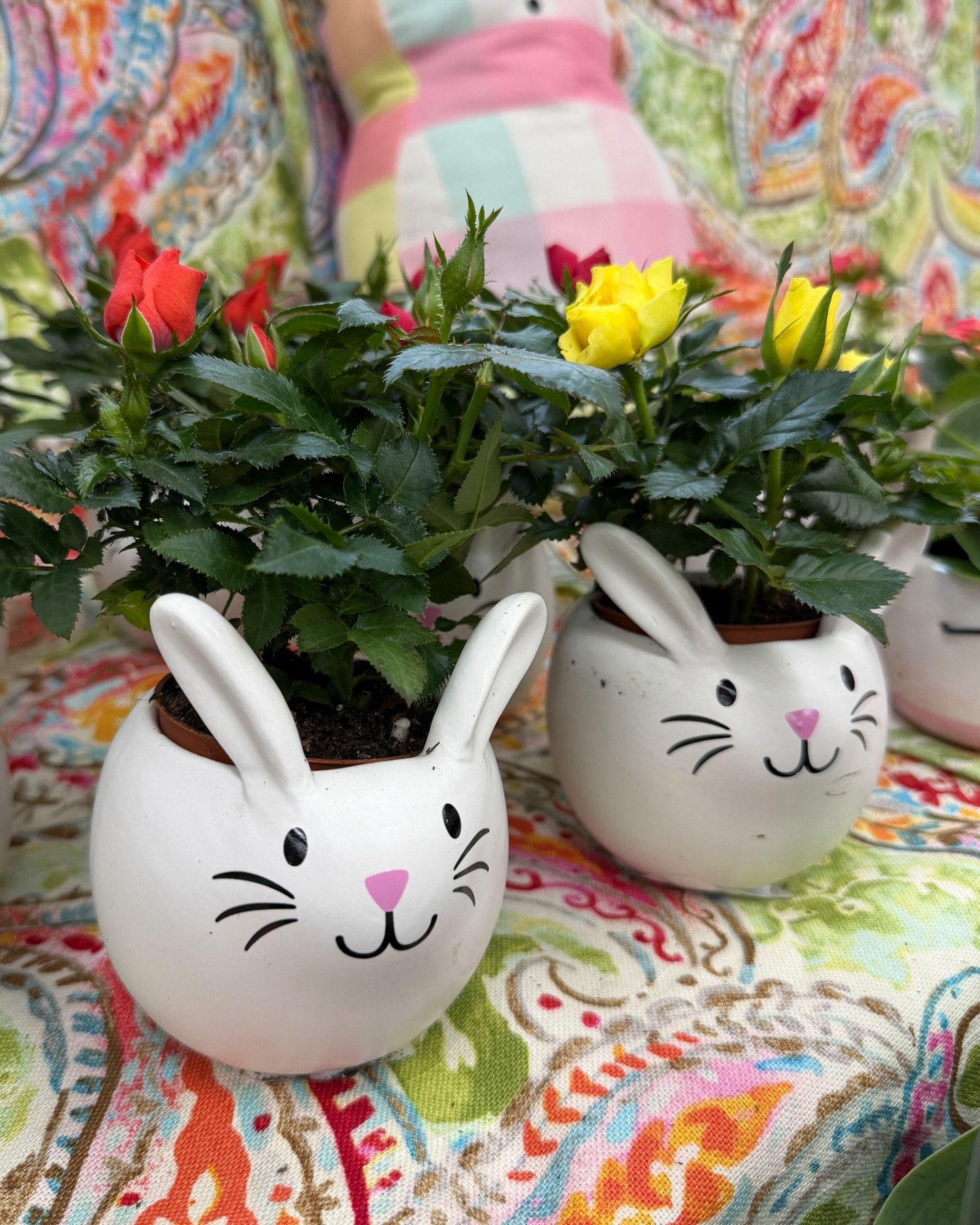 Happy Easter from Winthrop Marketplace! 🐣🌷

We are closed today so our team can celebrate, but we look forward to seeing you back tomorrow!