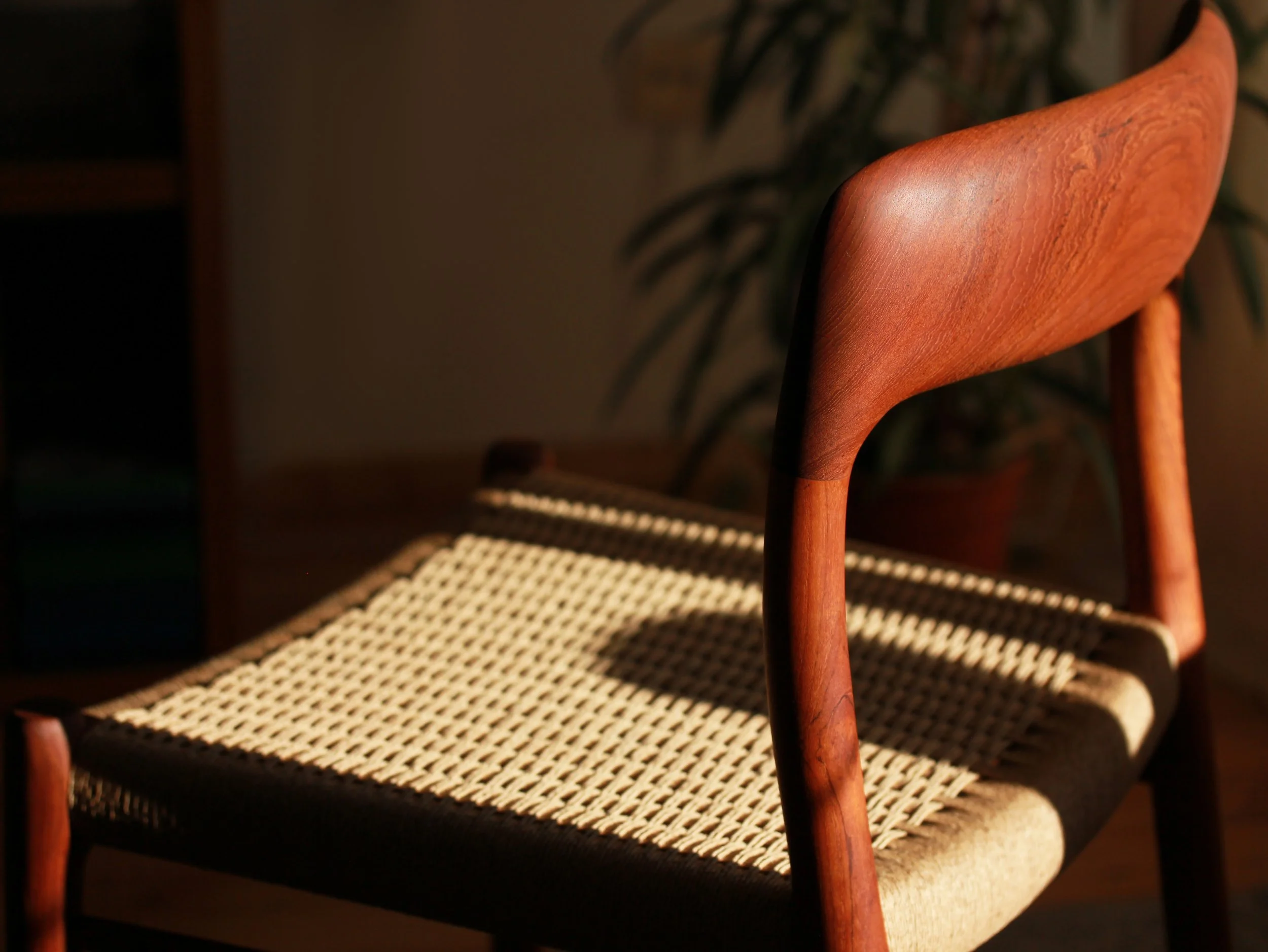 AdobeStock_506416511.jpeg