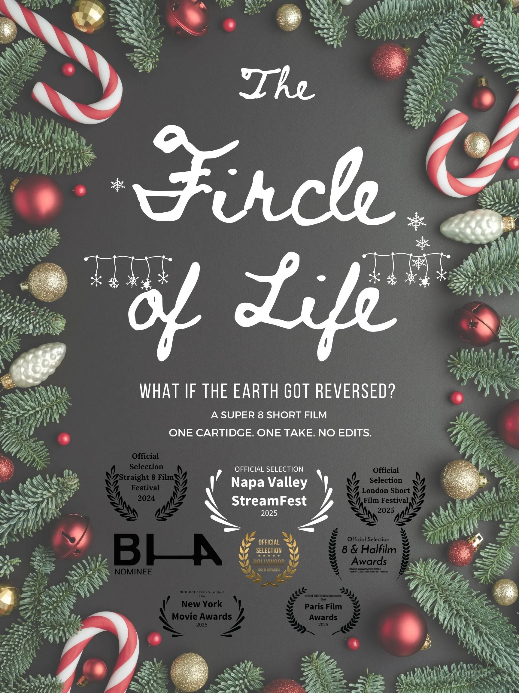 Fircle of Life Movie Poster.jpg