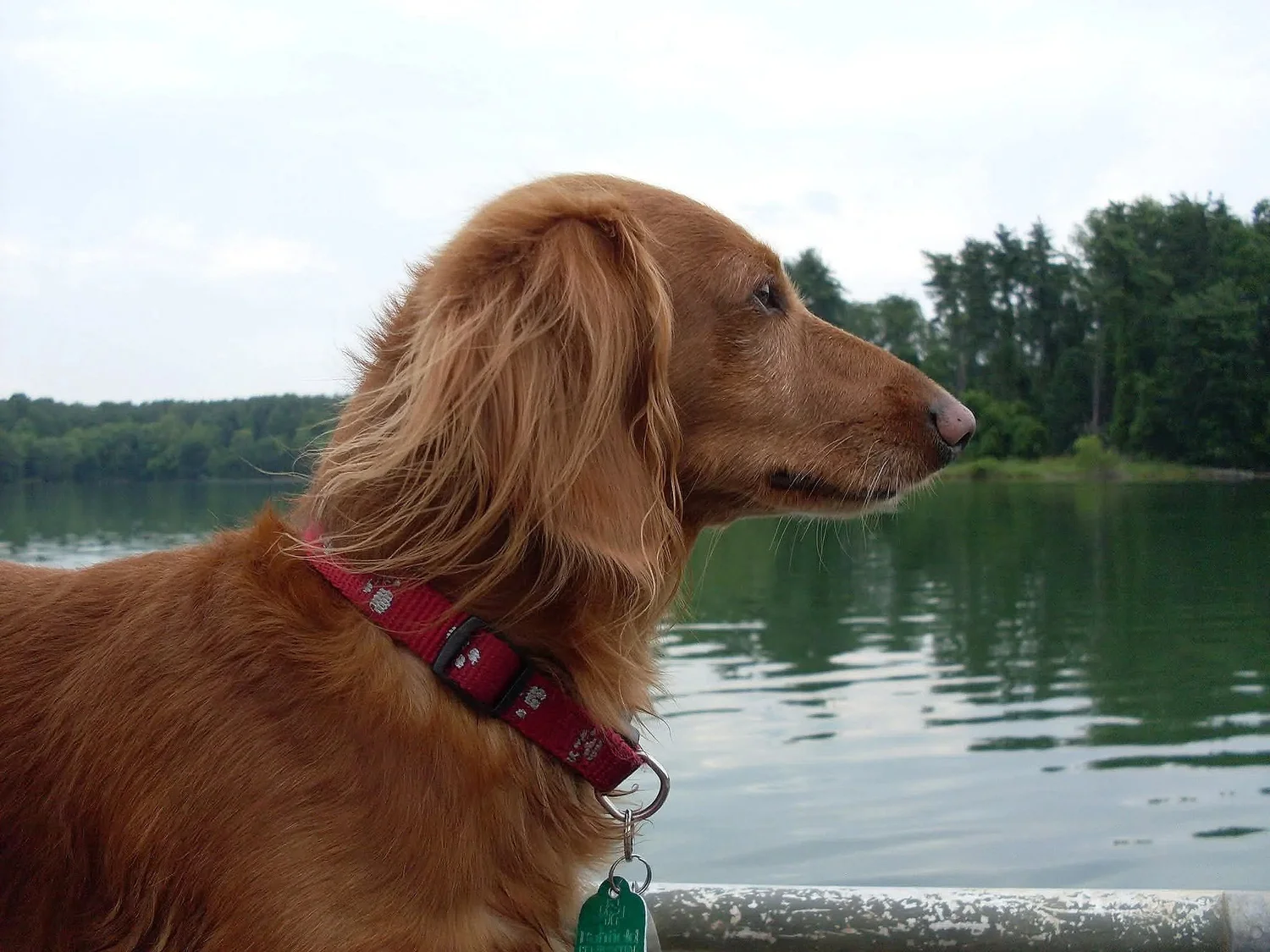 Beside Still Waters, green meadows  Mastercraft Poems