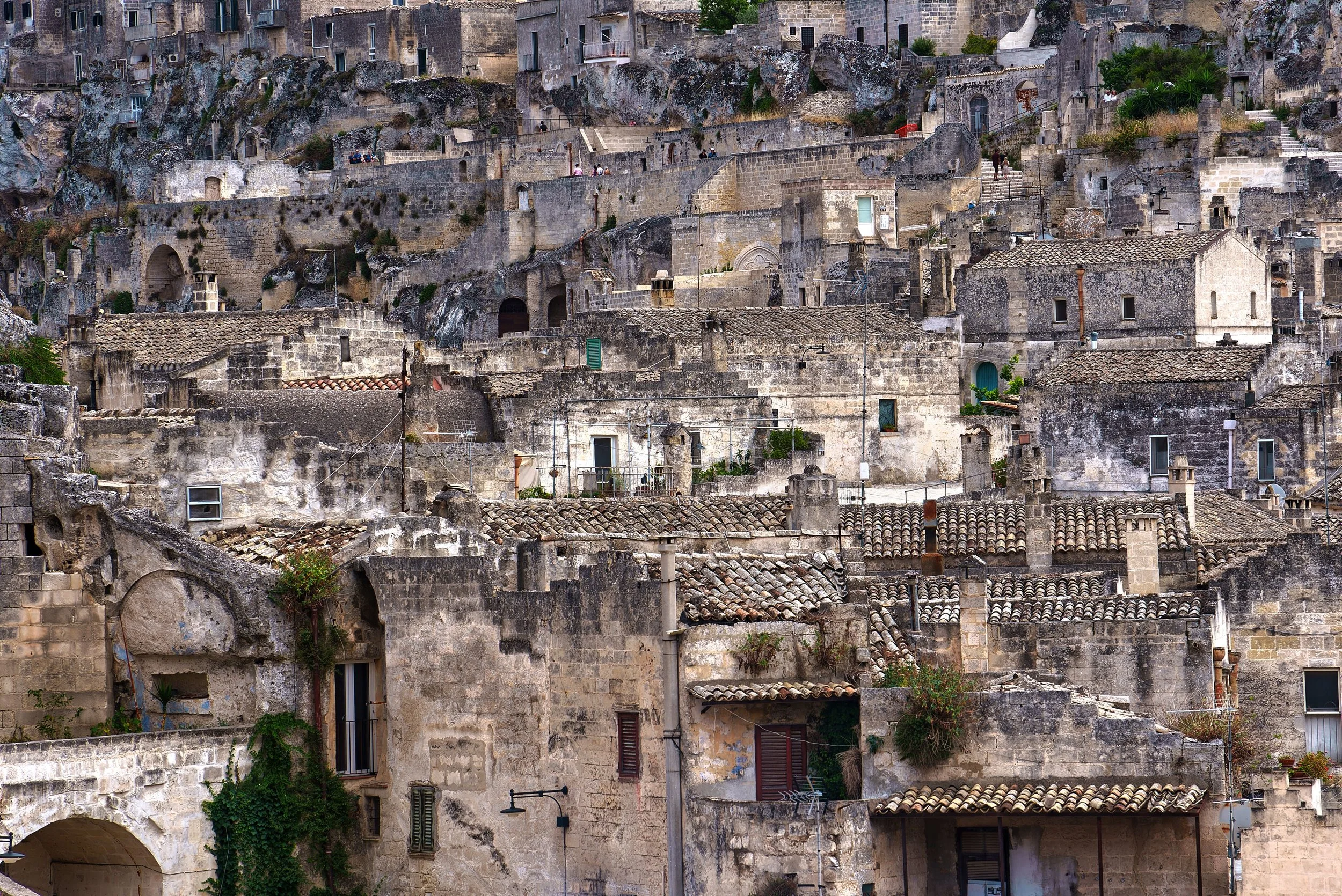 DSC02732-ARW_DxO_DeepPRIMEXD.jpg