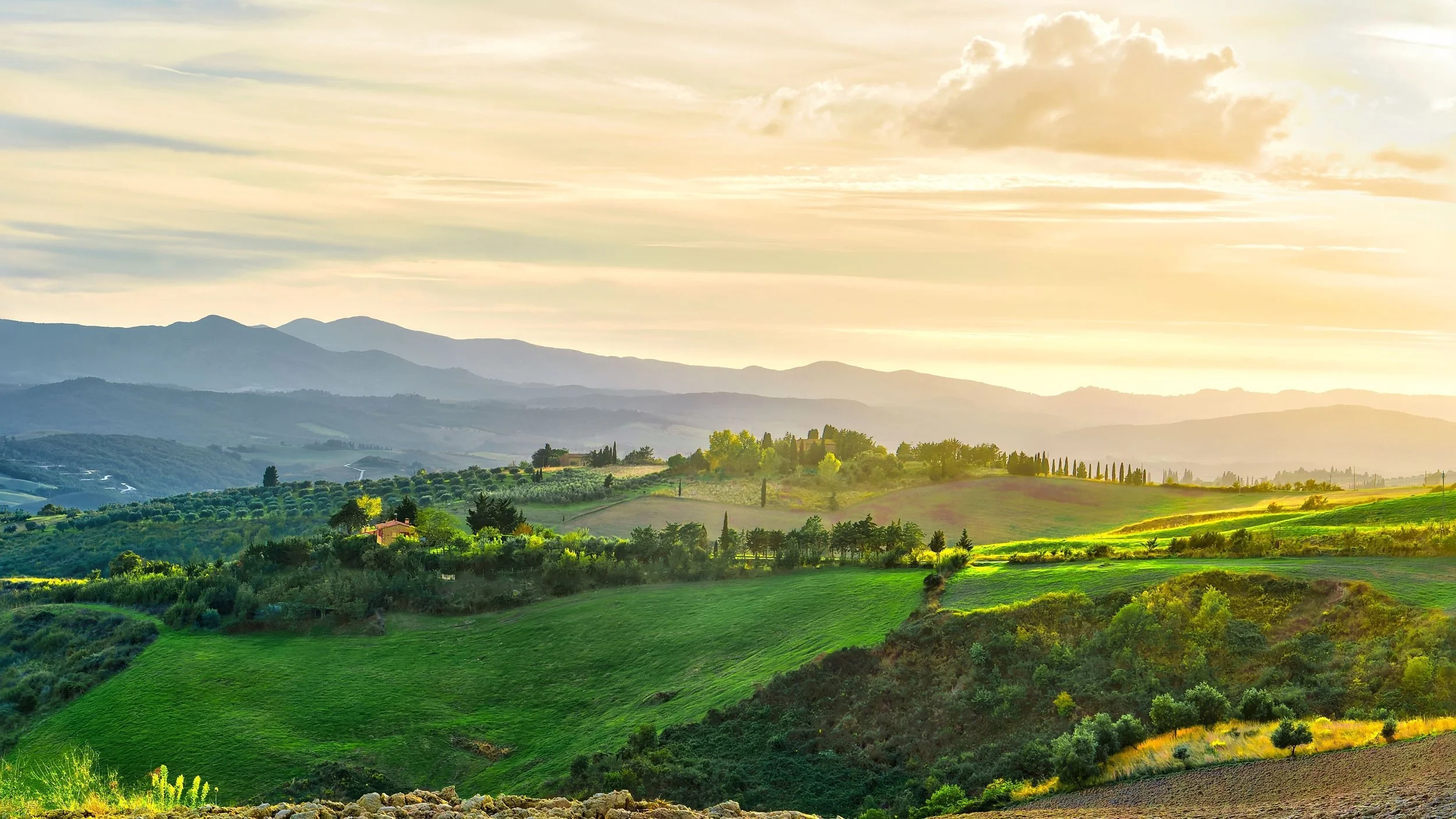 MagColTOSC0494_16-9_source — kopia.jpg