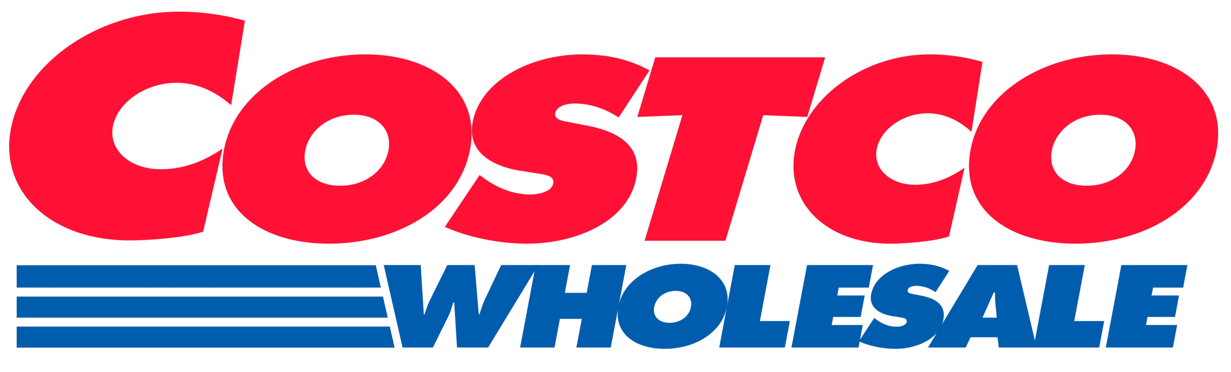 Costco Wholesale logo with red text and blue stripes.