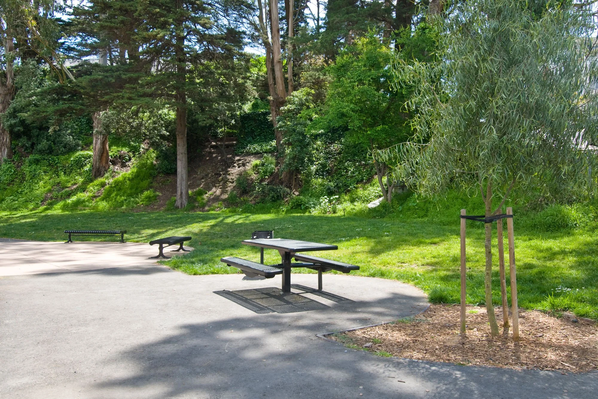 A park with a picnic table, a bench, and a small tree supported by wooden stakes, surrounded by green grass and tall trees in the background.