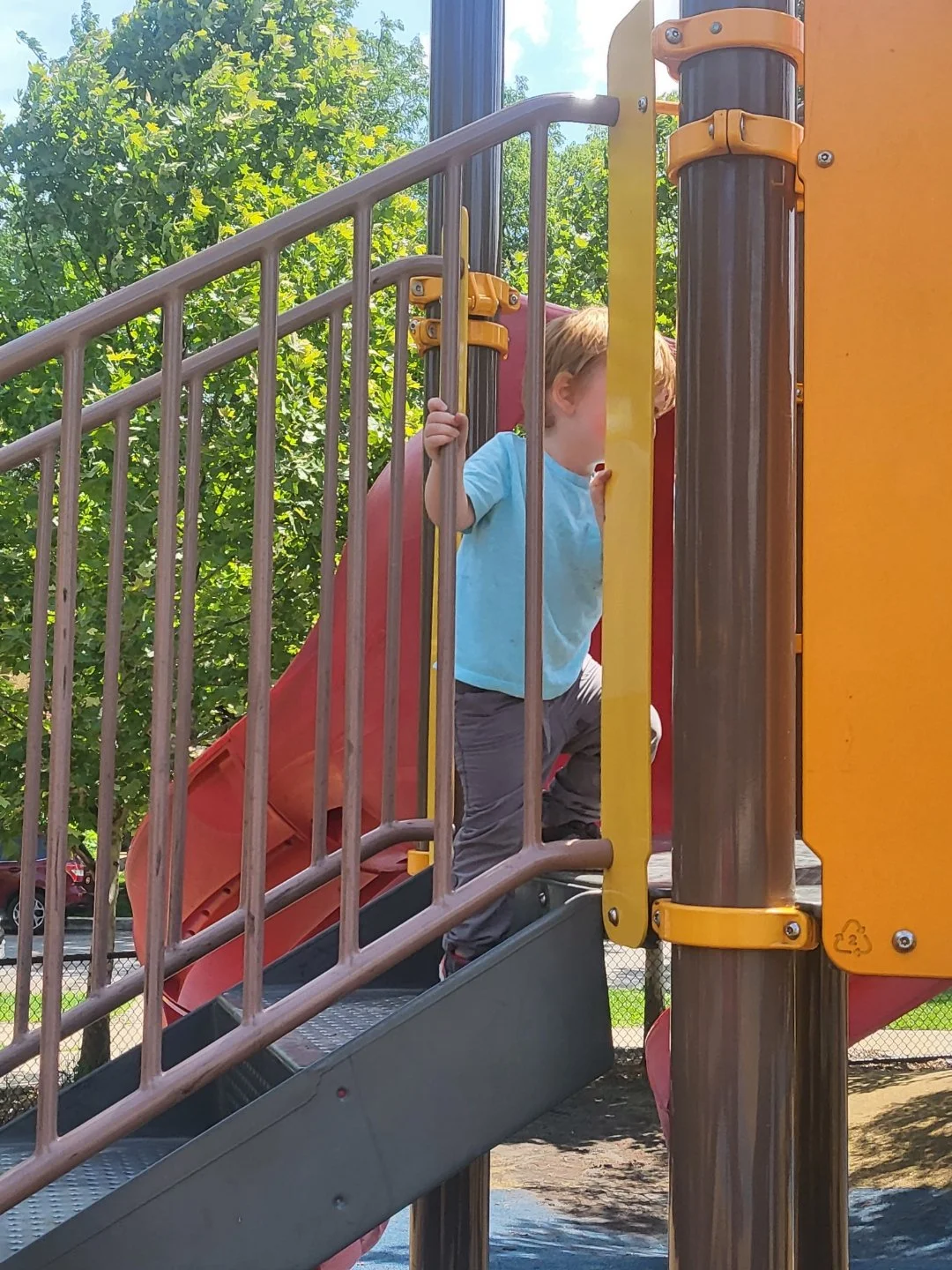 Resized-20230706-120831.jpeg