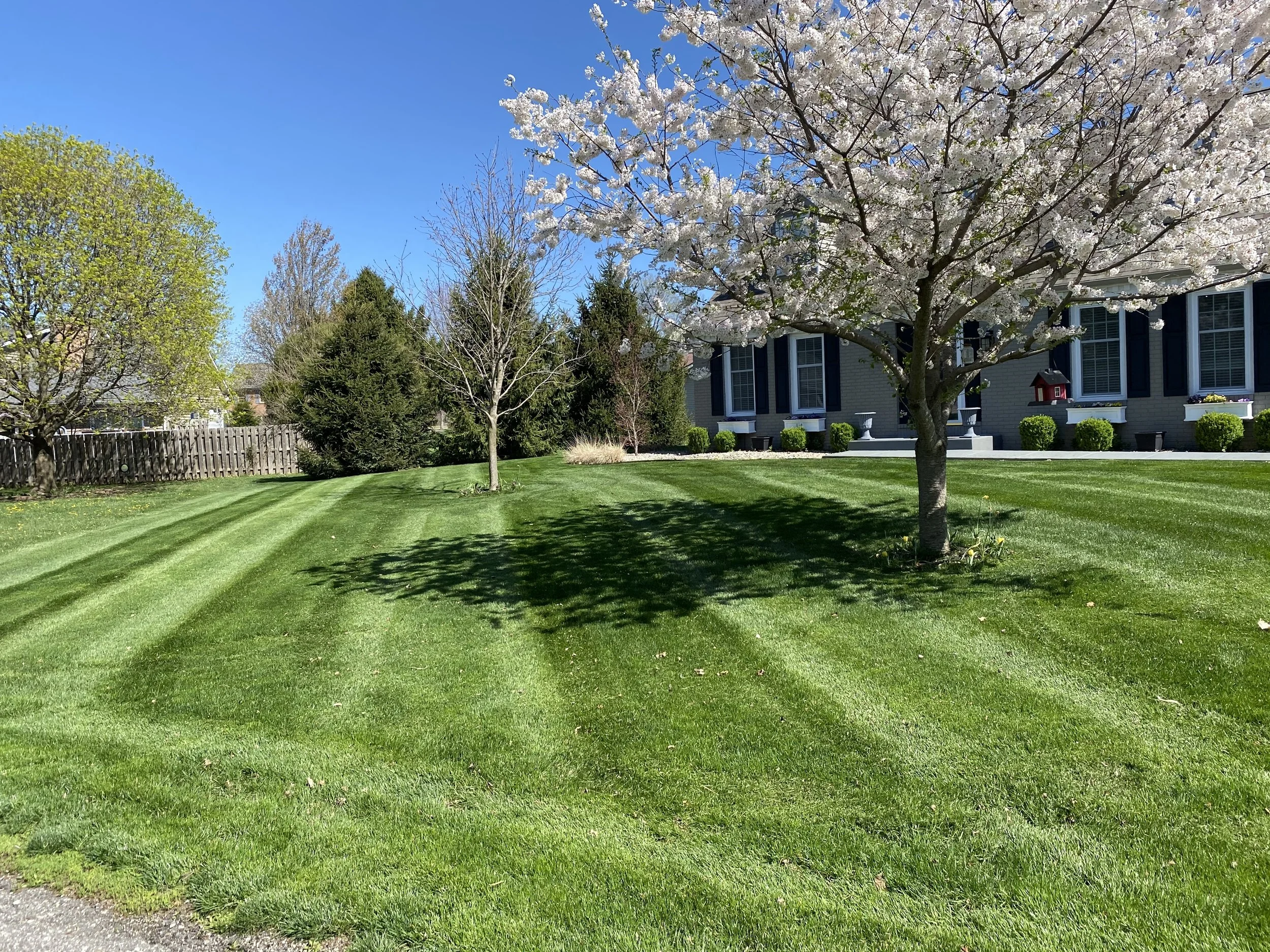What a Proper Spring Property Cleanup Does for Your Lawn and Landscape