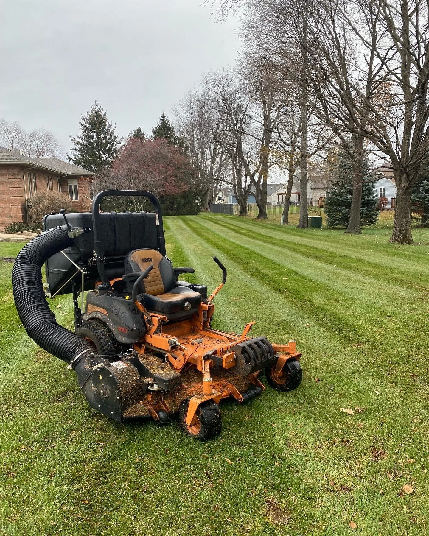 Fall Leaf Cleanup: Why Leaving Leaves Hurts Your Lawn