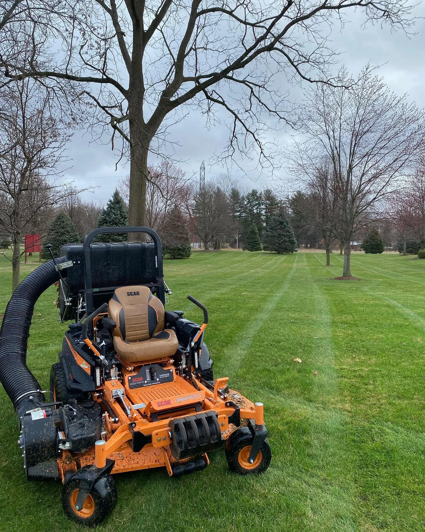 Why Spring Lawn Cleanup Is the Most Important Service of the Year