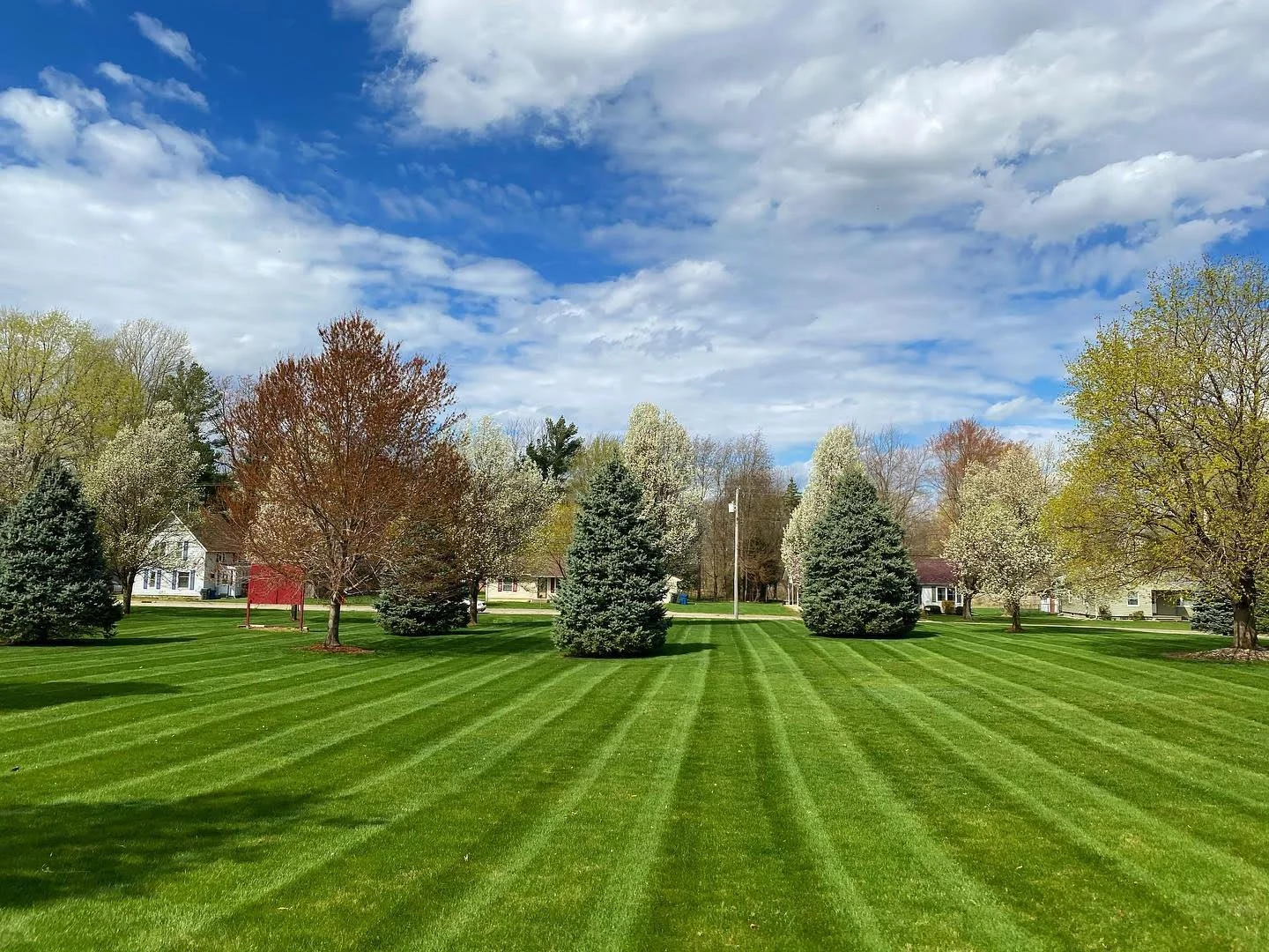 Why Consistent Lawn Maintenance Matters More Than You Think