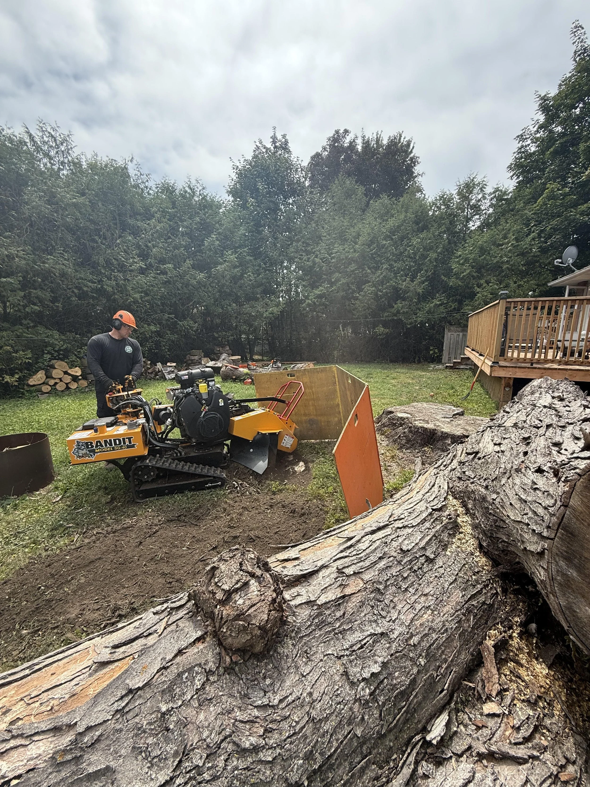 A man wearing a black shirt, orange helmet, ear protection, and gloves operating a Wood Mizer chainsaw mill on a large fallen tree trunk in a backyard with a deck, surrounded by trees, with a cloudy sky overhead.
