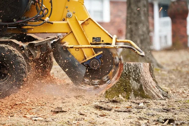 stump-grinder.webp