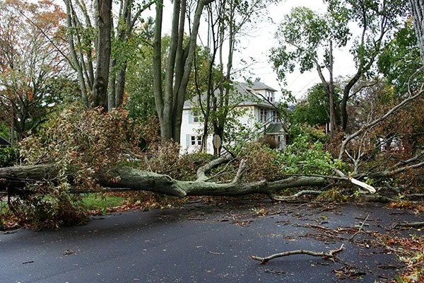 Storm-Cleanup.jpg