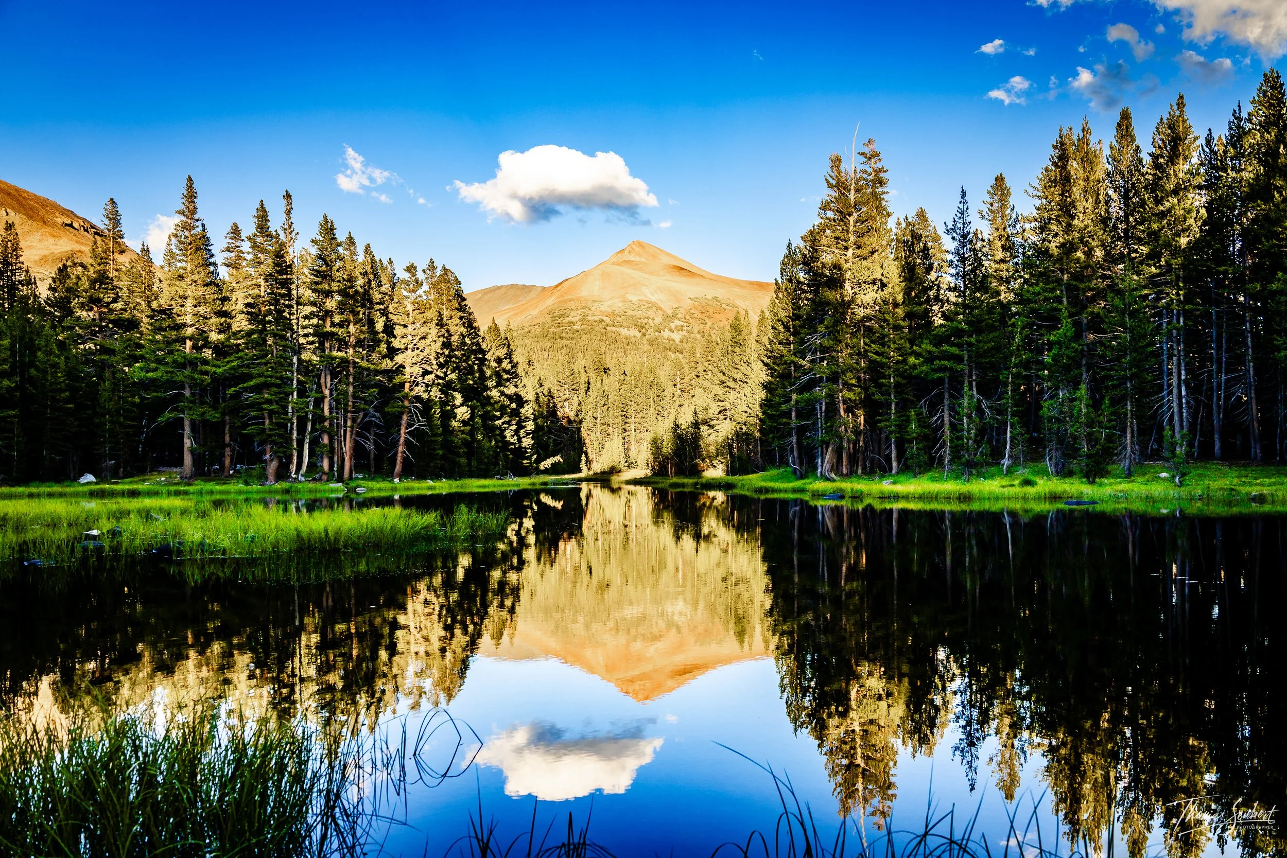 Mirror of the High Sierra - Yosemite National Park, California