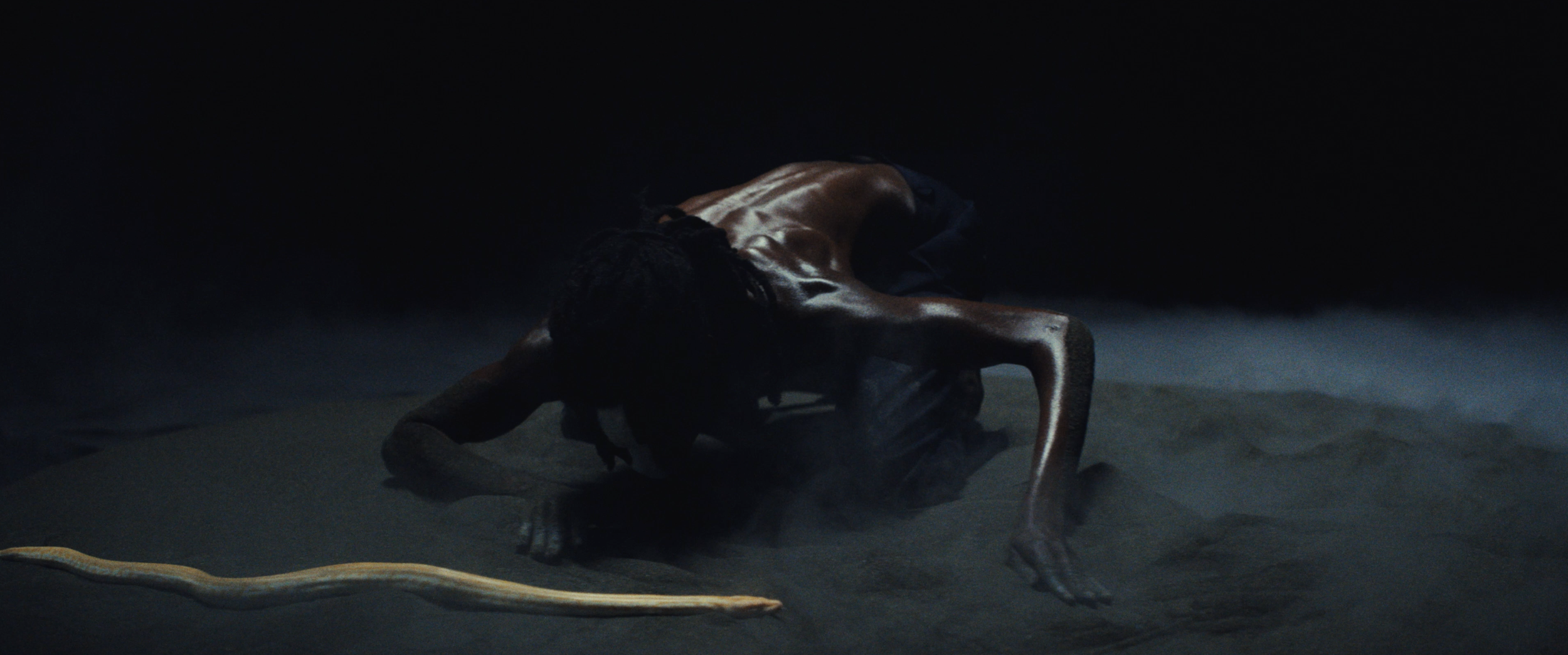 Screenshot 2024-02-14 at 10.06.09 AM.png