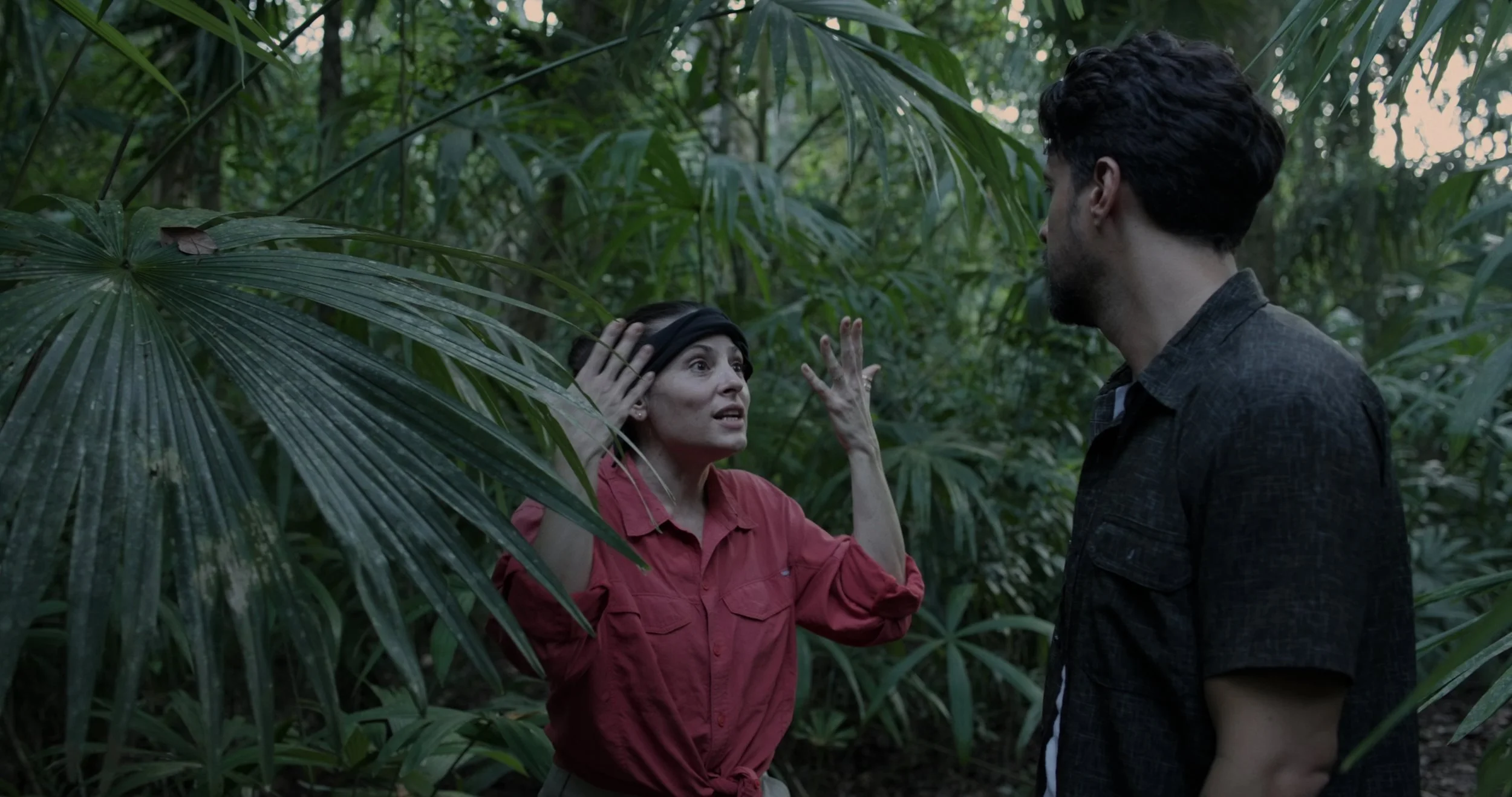 Into The Endless.jpg