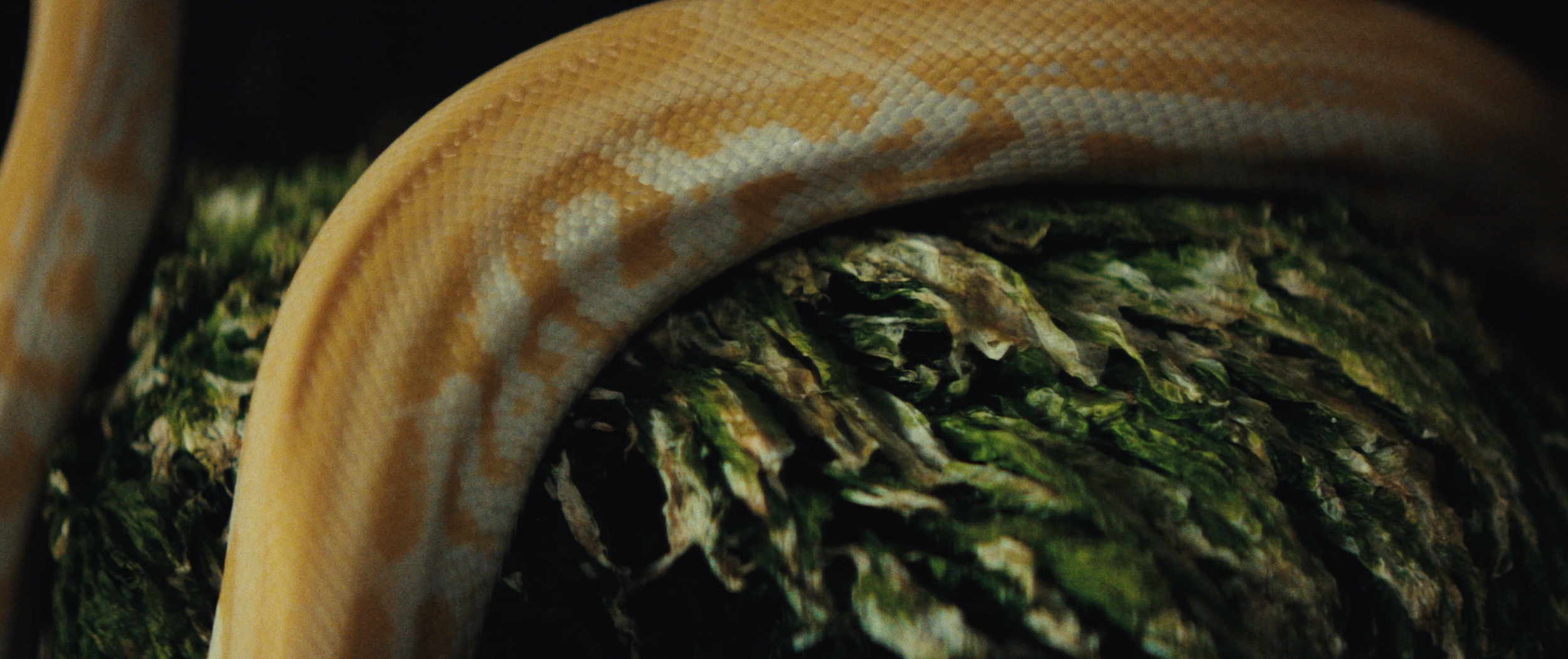 Screenshot 2024-02-14 at 9.34.06 AM.png