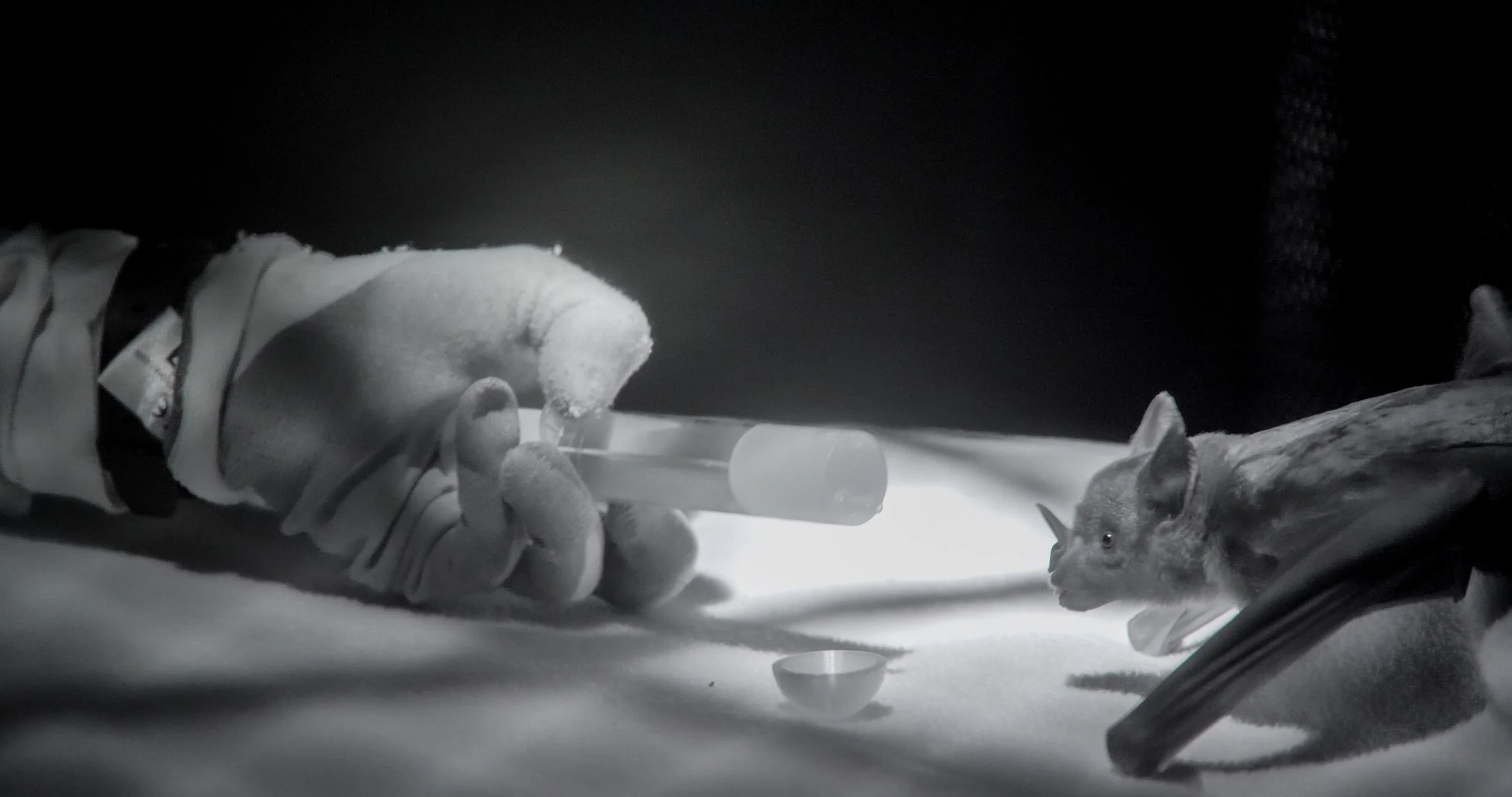 Into The Endless 5.jpg