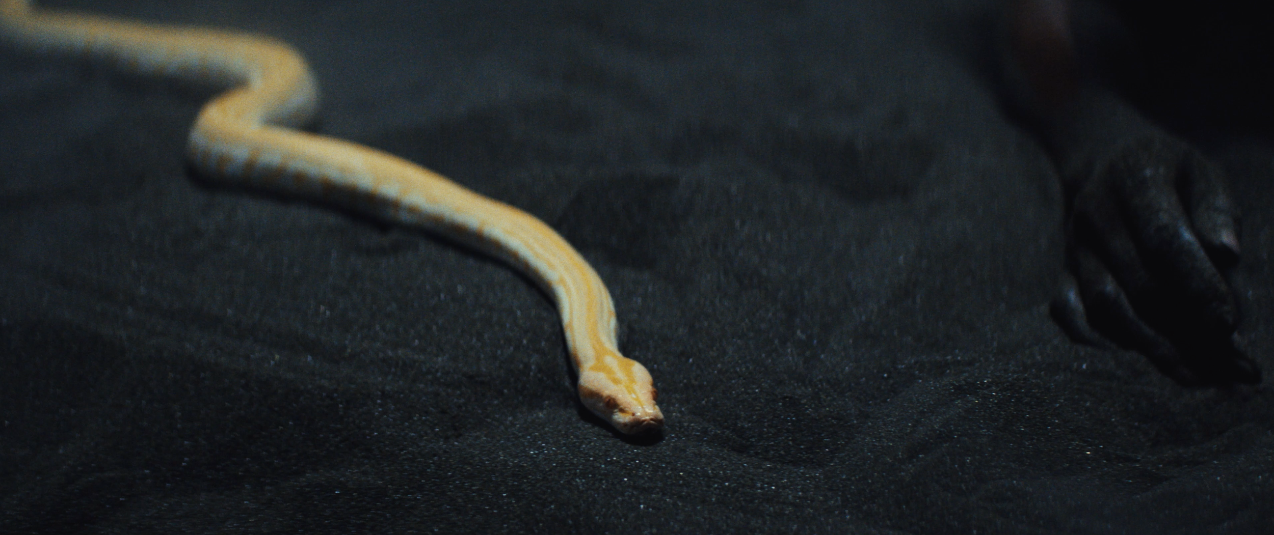 Screenshot 2024-02-15 at 15.53.04.png