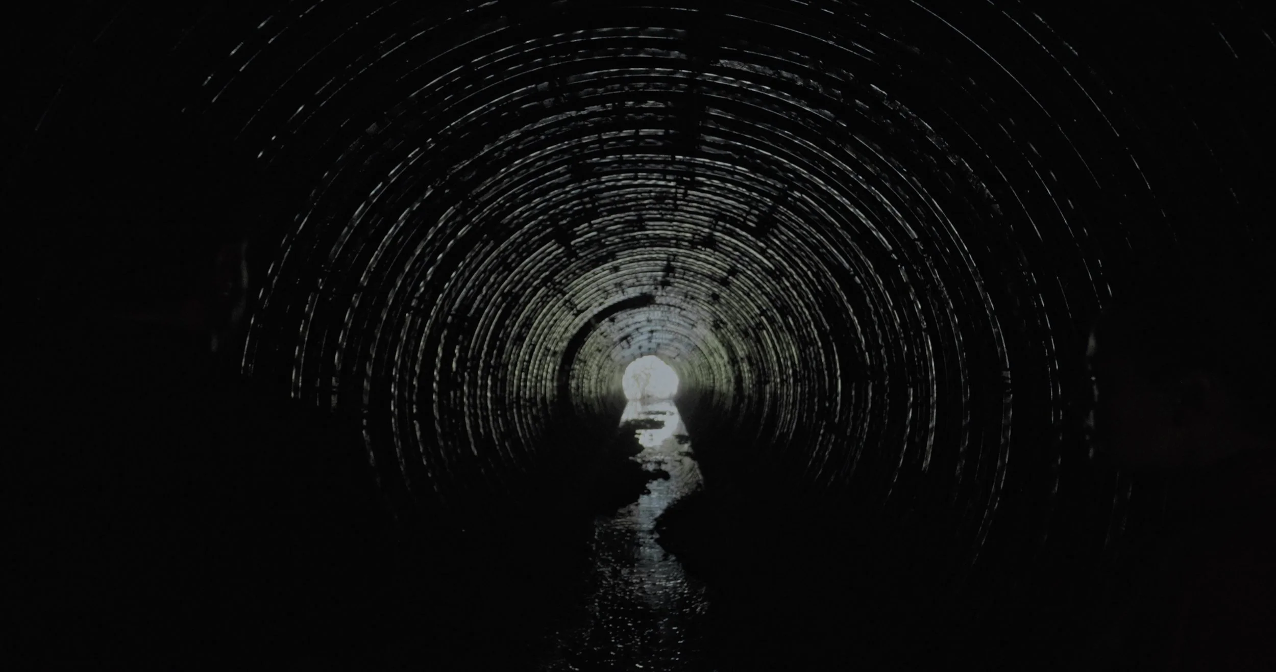 Into The Endless 16png.jpg